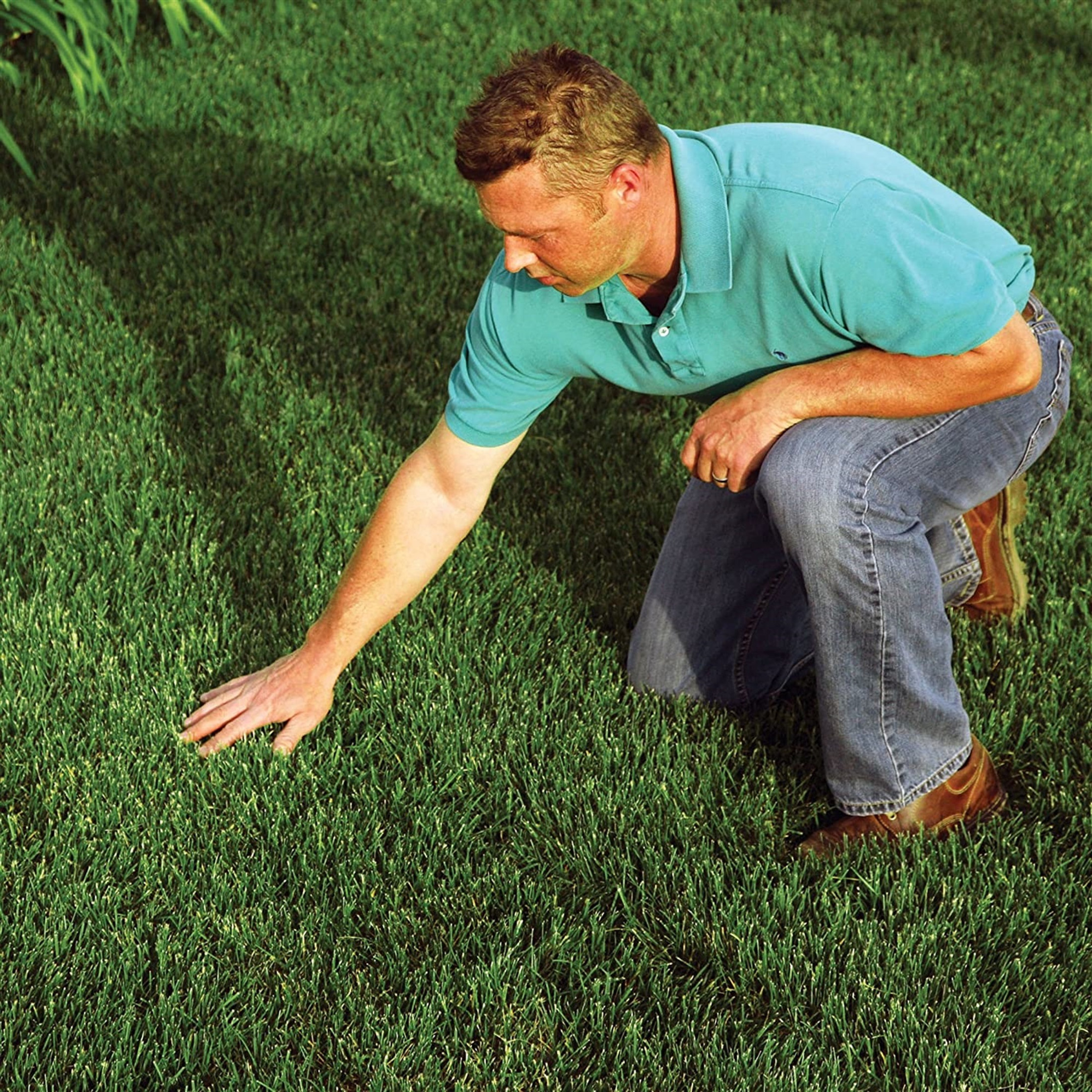EZ-Straw Seeding Mulch with Tack - Biodegradable Processed Straw, 1 cu. ft. Bale (Covers 250 sq. ft.)