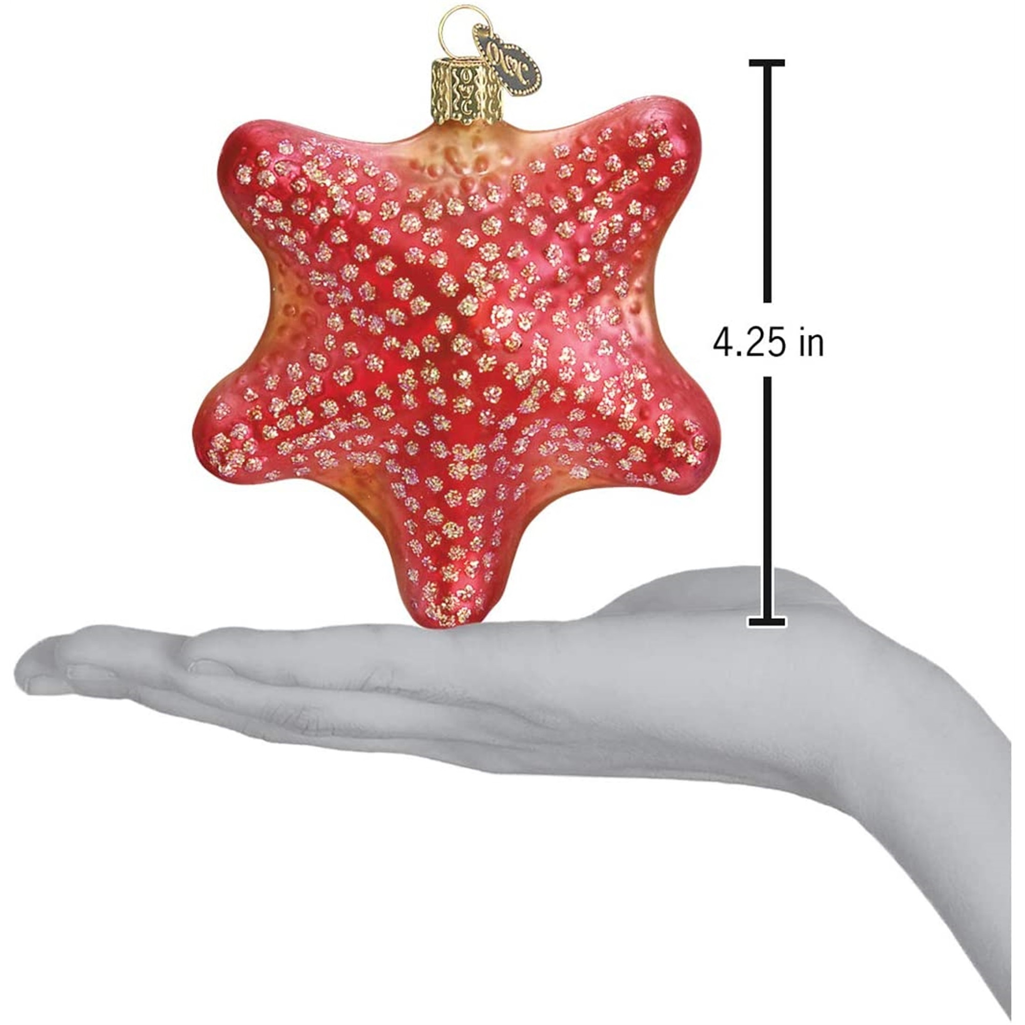 Old World Christmas Blown Glass Ornament for Christmas Tree, Red Starfish