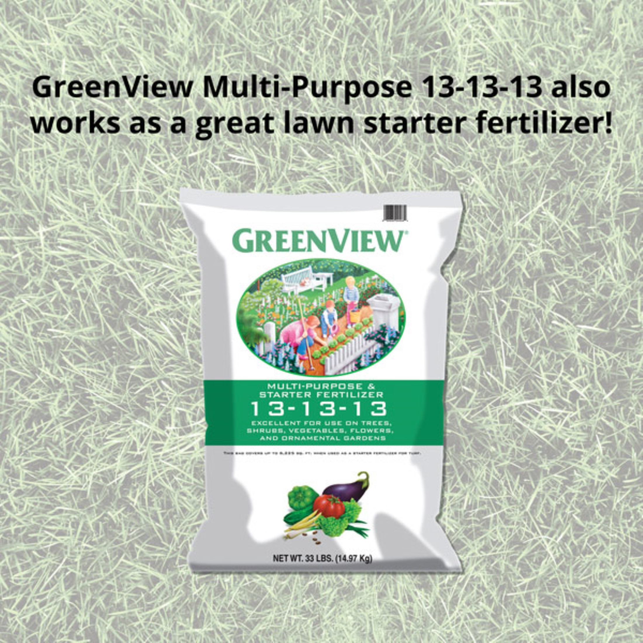 GreenView Multi-Purpose and Starter Fertilizer, 13-13-13 for