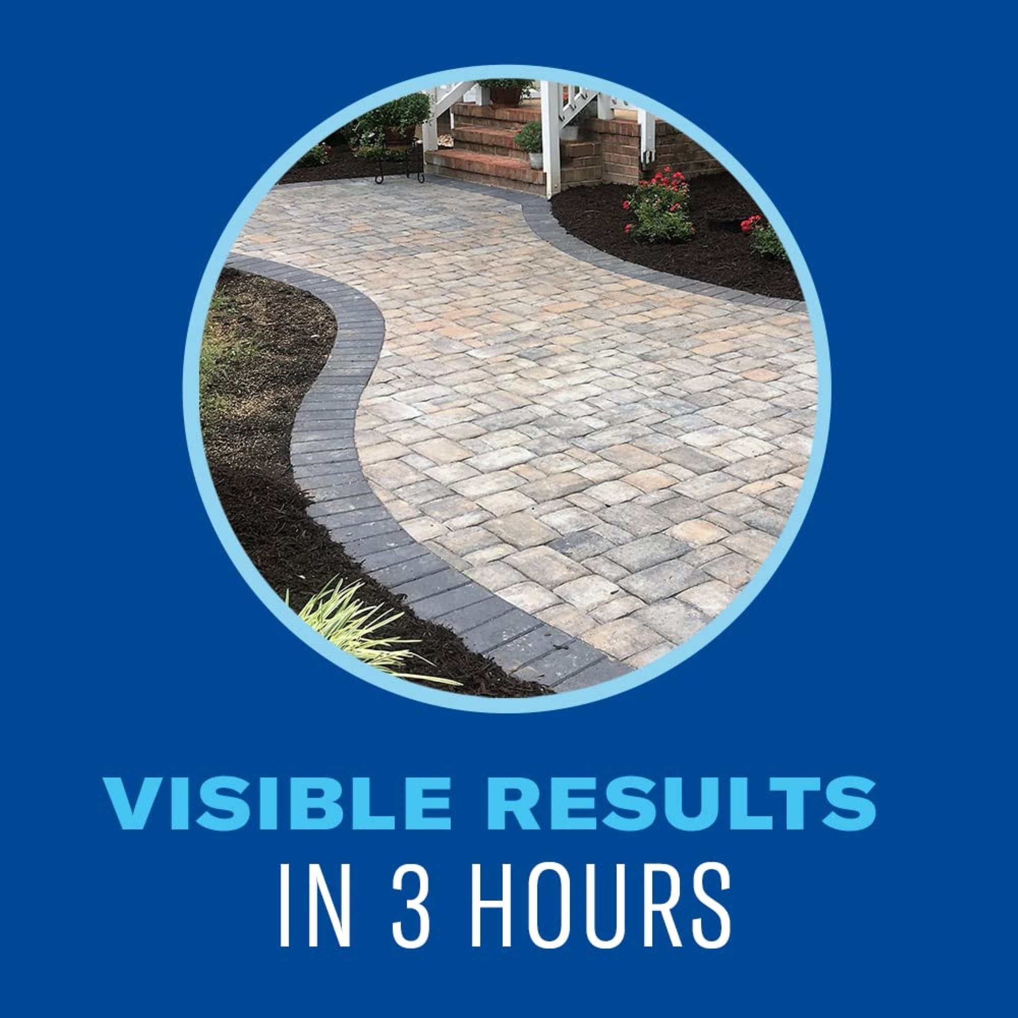 BioAdvanced Weed & Grass Killer Super Concentrate, 32-Ounce