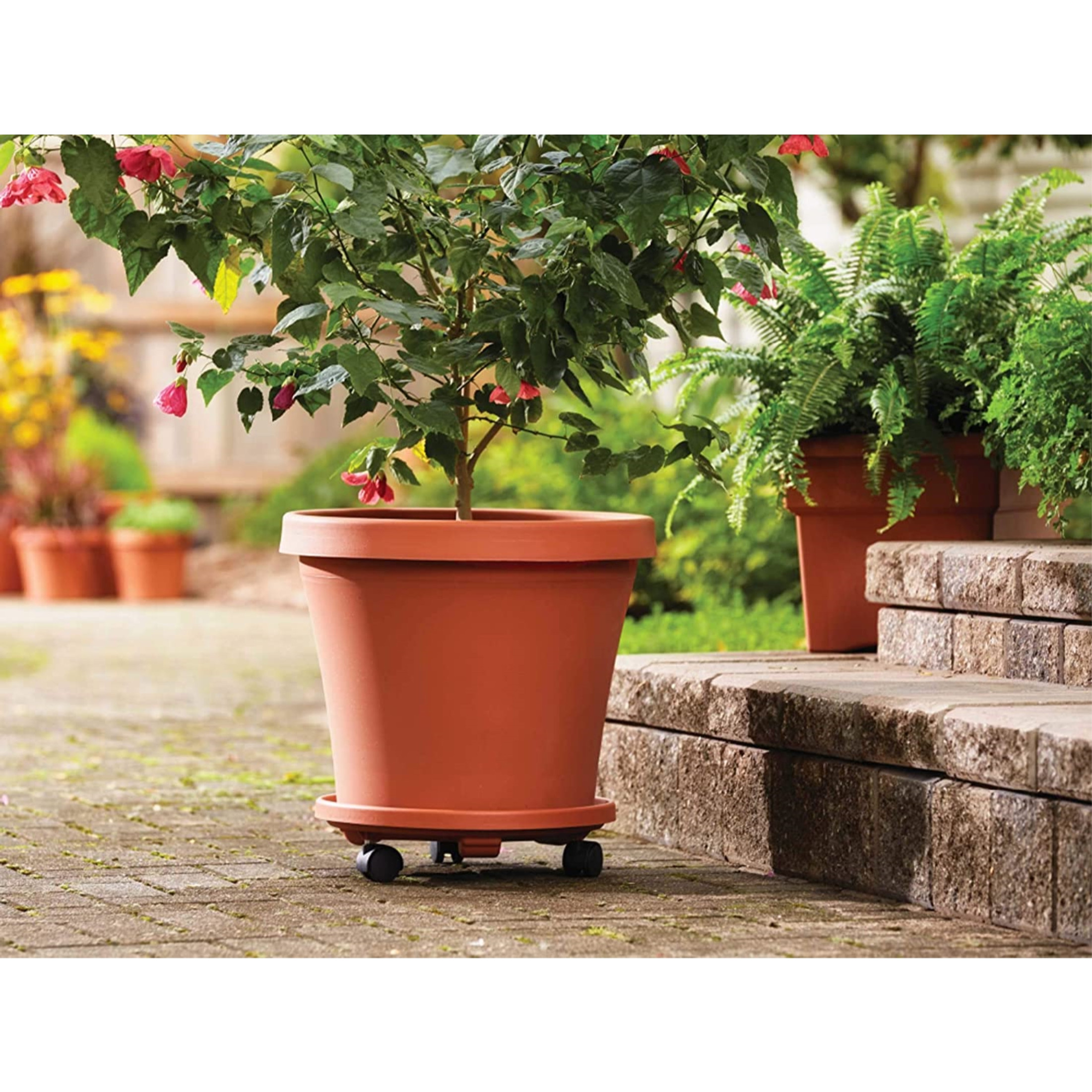 Bloem Round Plastic Plant Caddie with Saucer Tray and Wheels, Terra Cotta, 12" D