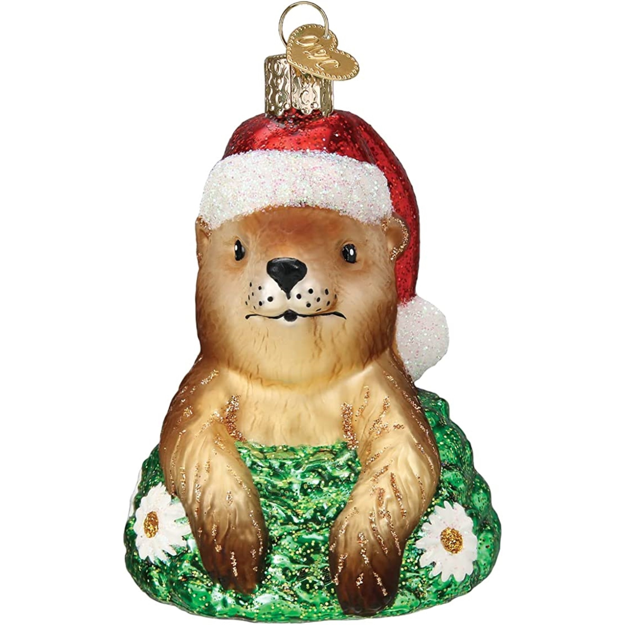 Old World Christmas Glass Blown Ornament for Christmas Tree, Santa Groundhog