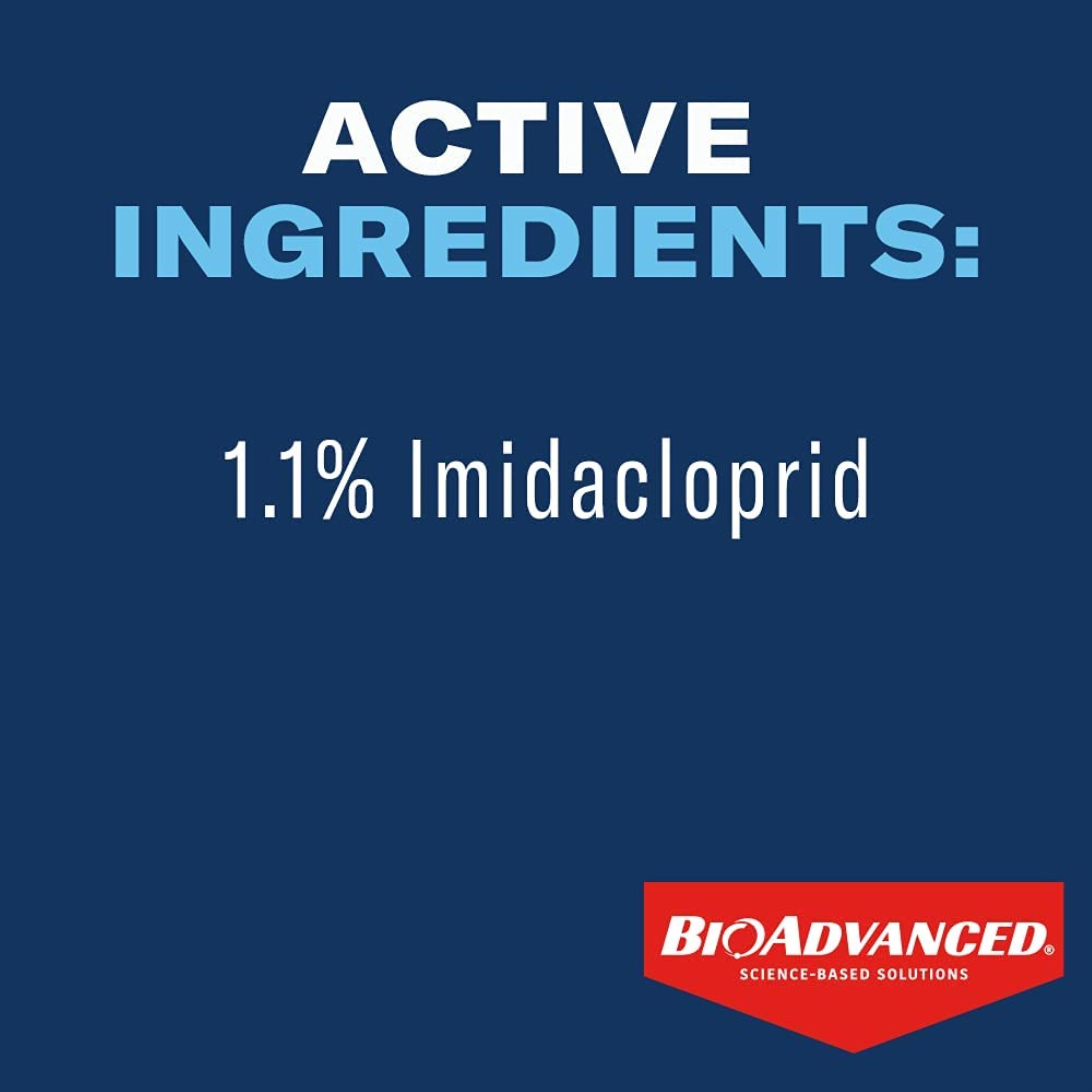 BioAdvance 12 Month Tree and Shrub Protect and Feed Granules, 4lb