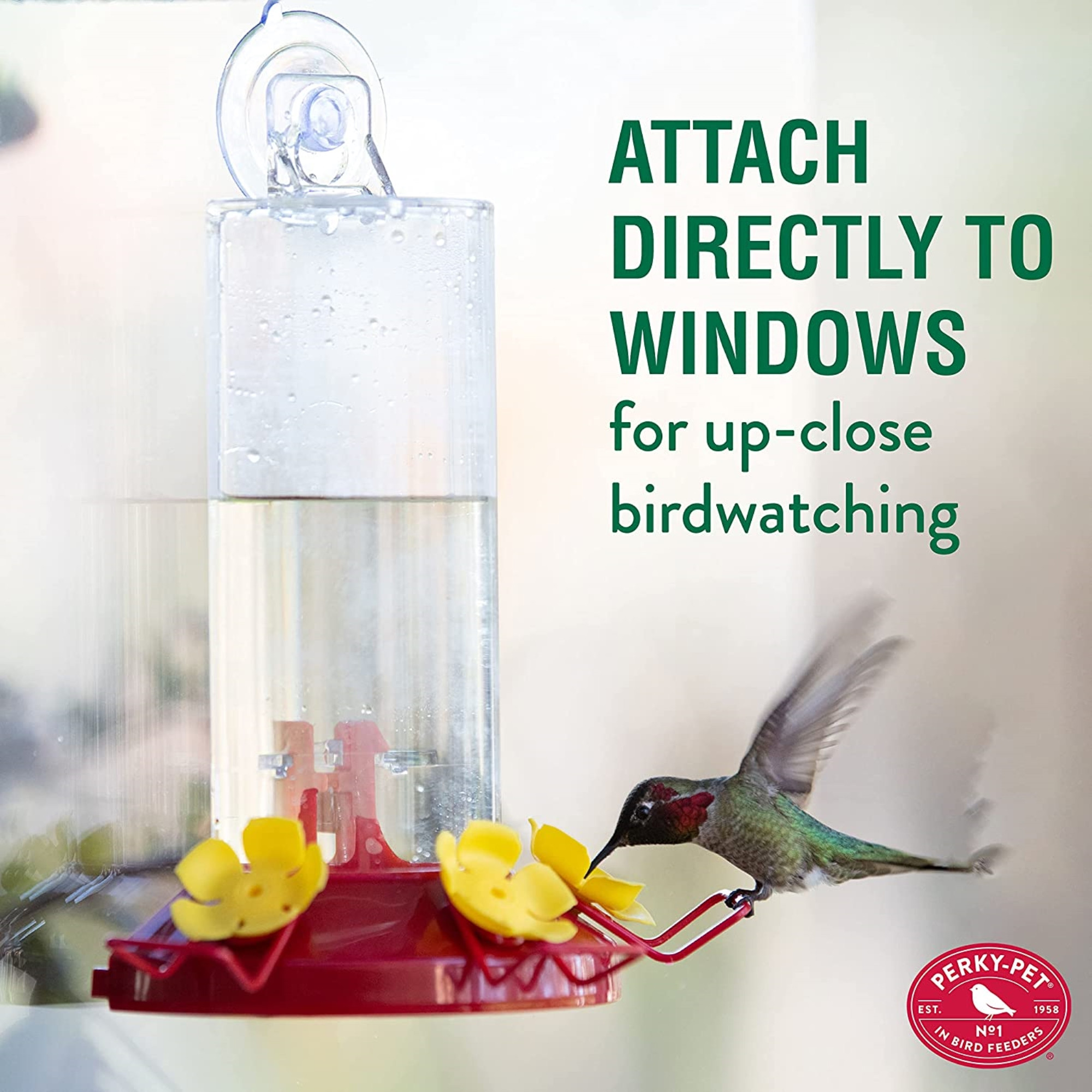 Perky-Pet Window Mount Hummingbird Feeder, Iridescent color, 8 Oz