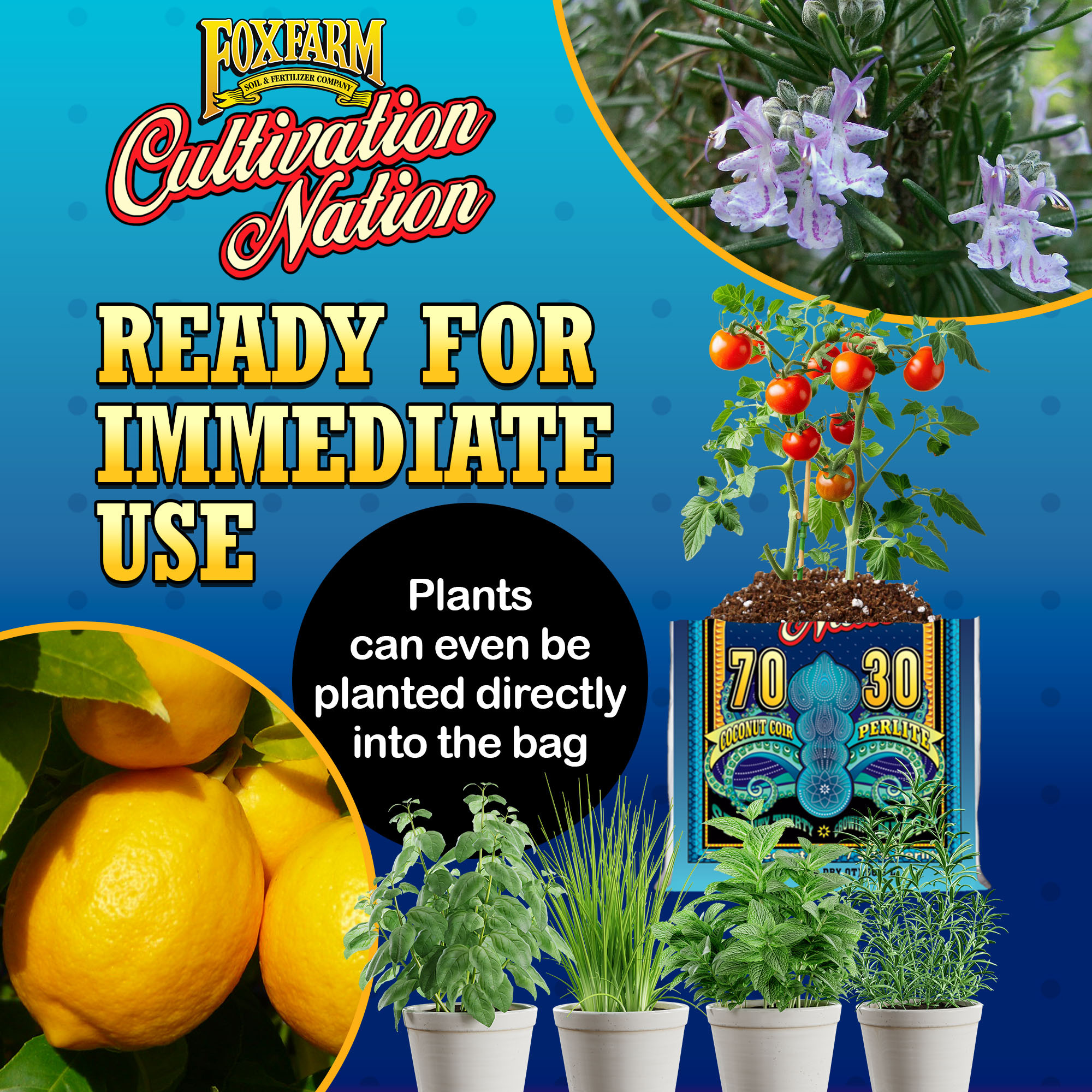 FoxFarm Cultivation Nation 70:30 Growing Media with Coco Coir & Perlite, 2cu ft