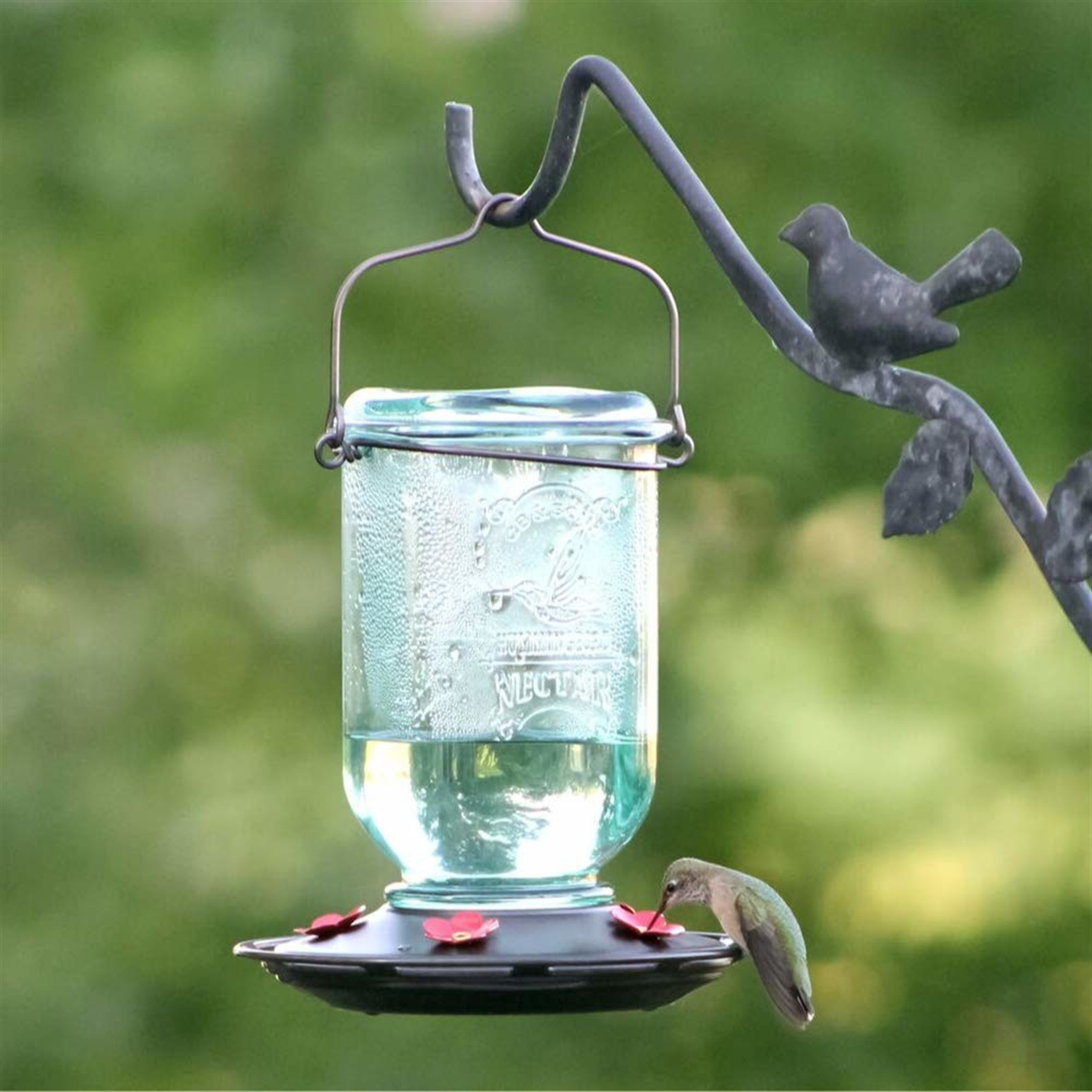 More Birds Rustic Glass Mason Jar Hummingbird Feeder, 25 oz Nectar Cap, Aqua