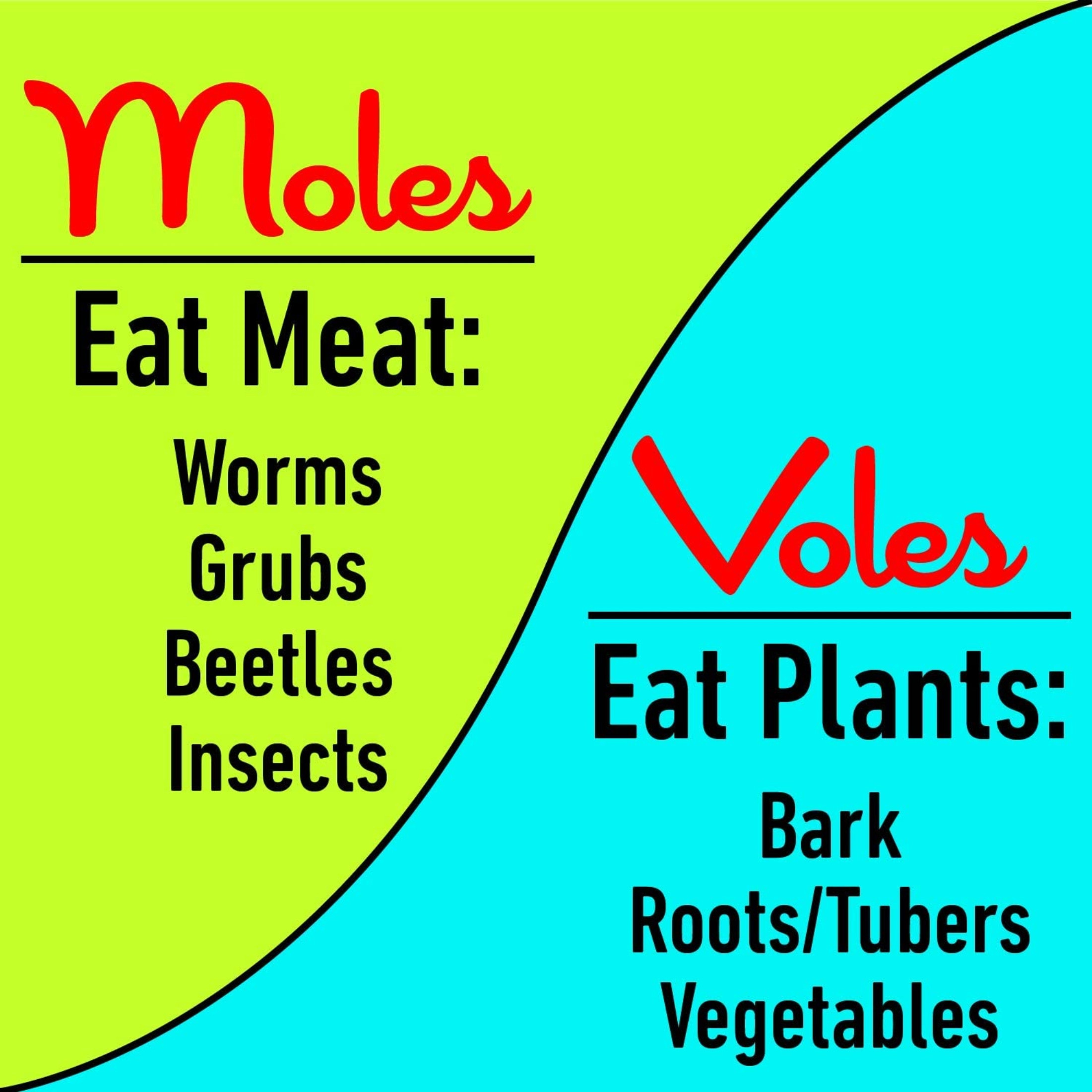 I Must Garden Mole & Vole Repellent, Professional Strength 4 lb. Shaker Jar