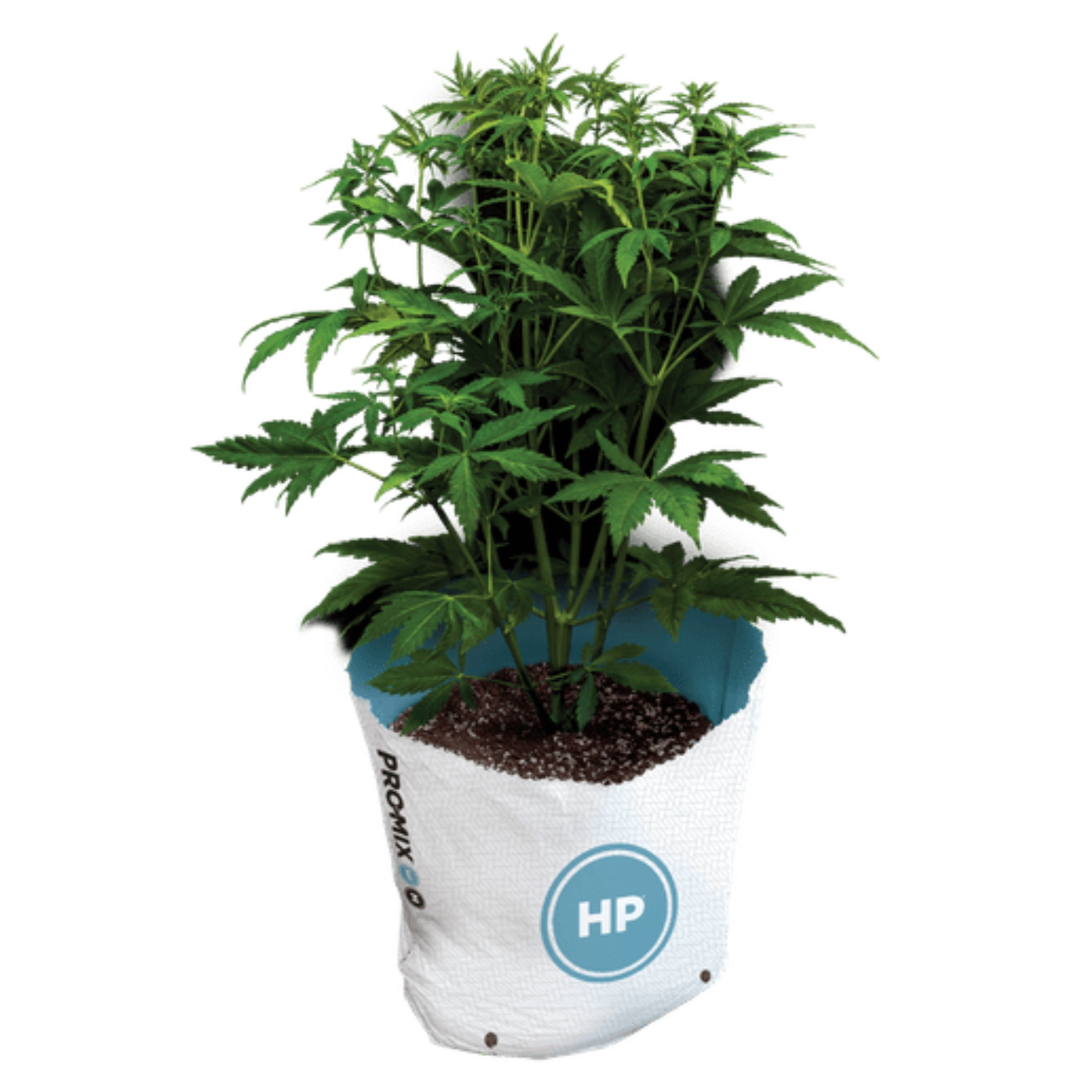 Pro-Mix HP Mycorrhizae Open Top Grow Bag, 0.5 CF