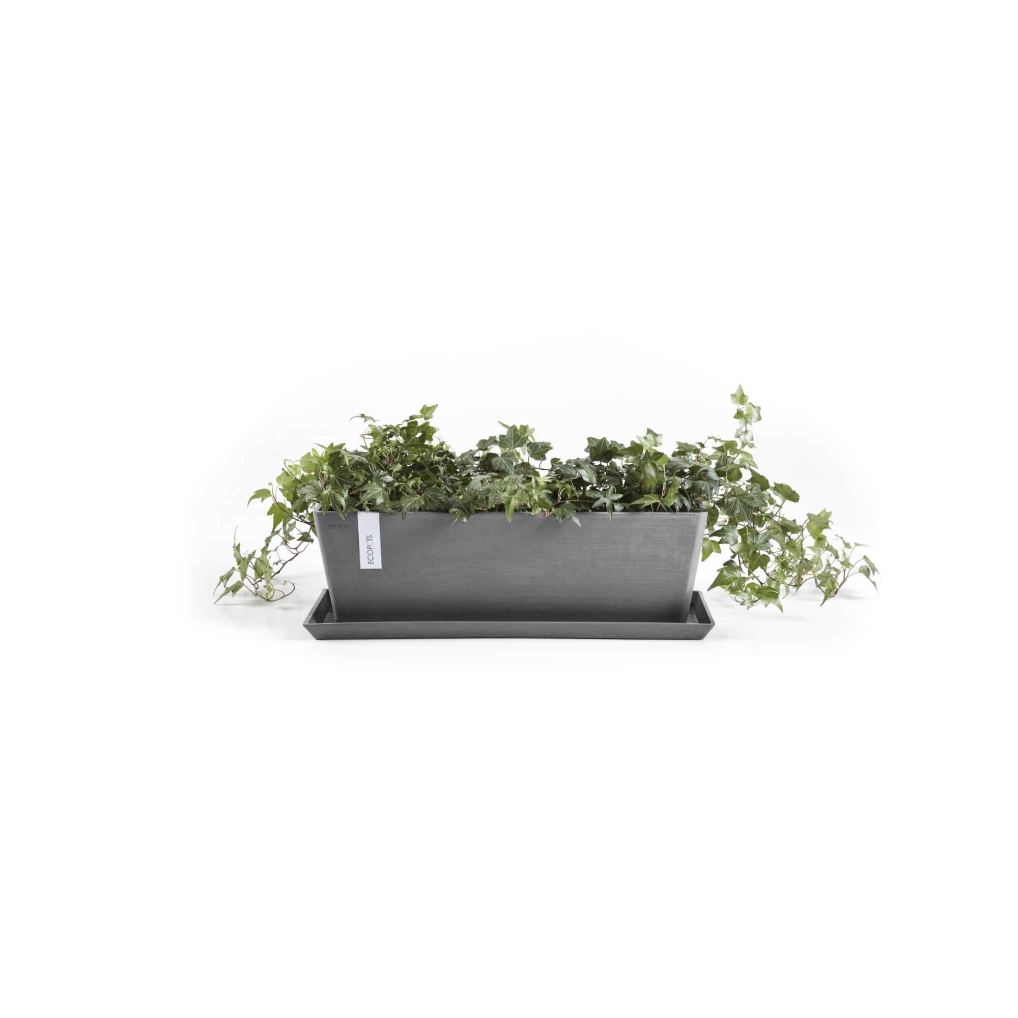Ecopots Bruges Indoor/Outdoor Modern Plastic Rectangular Flower Planter