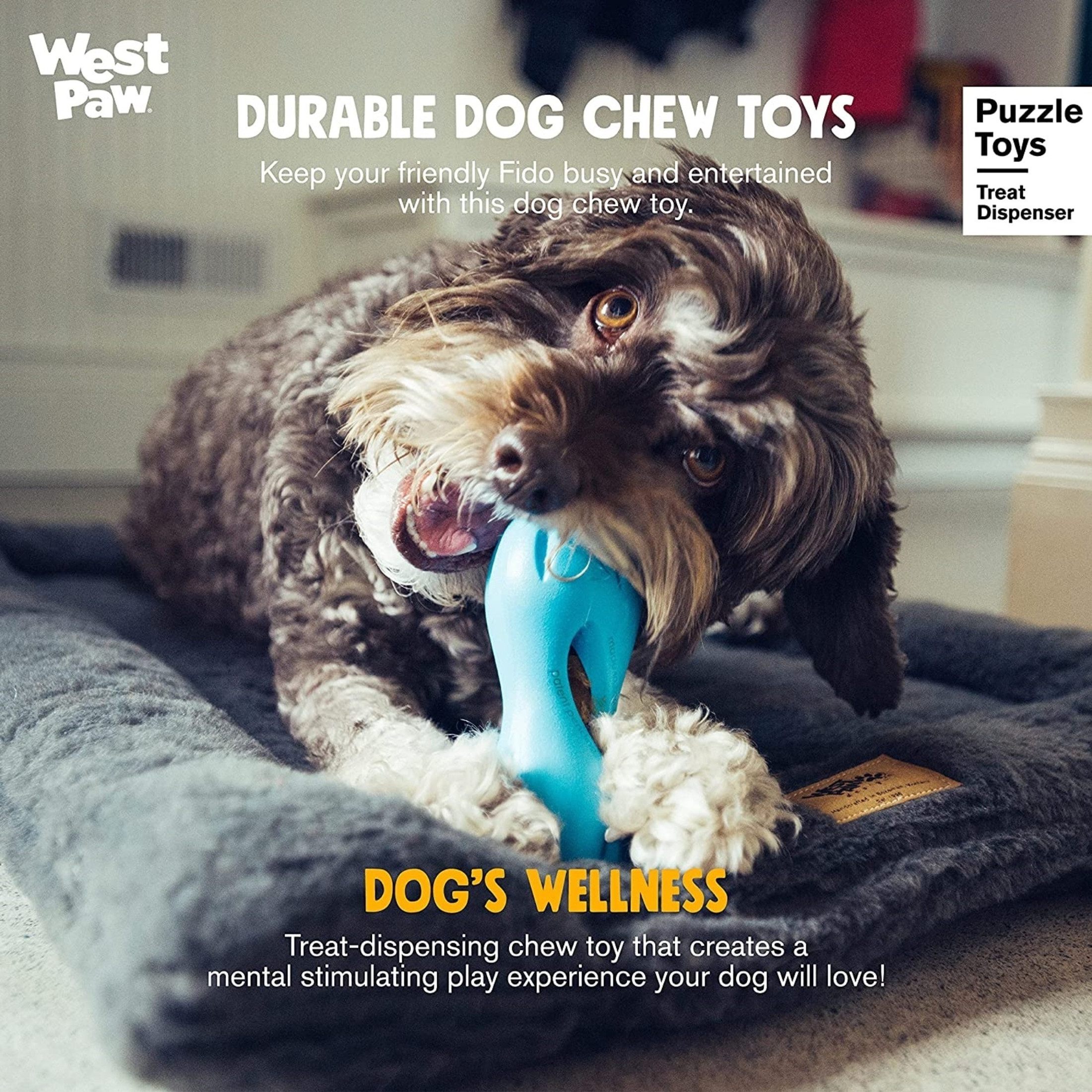 West Paw Qwizl Dog Puzzle Treat Toy, Orange, Large 6.5 - Esbenshades