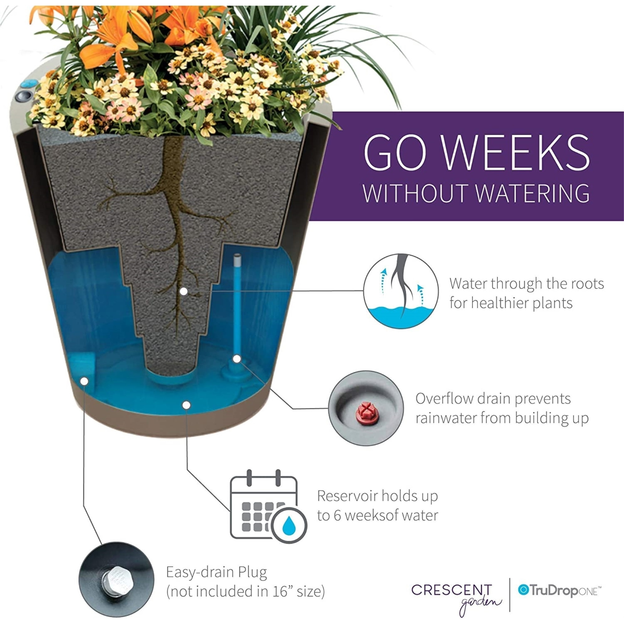 Crescent Garden Indoor/Outdoor Dot Plastic Planter with TruDrop One Self-Watering System