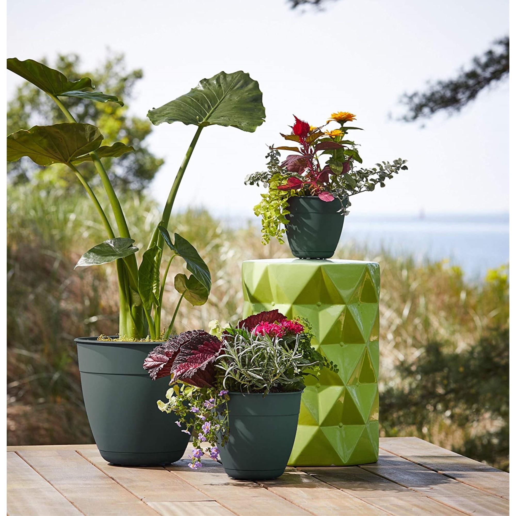 フラワー・ガーデニング BOTANIZE Plastic Pot Bowl SP 3set Bloem Dayton Recycled Ocean Plastic Planter With Attached Saucer