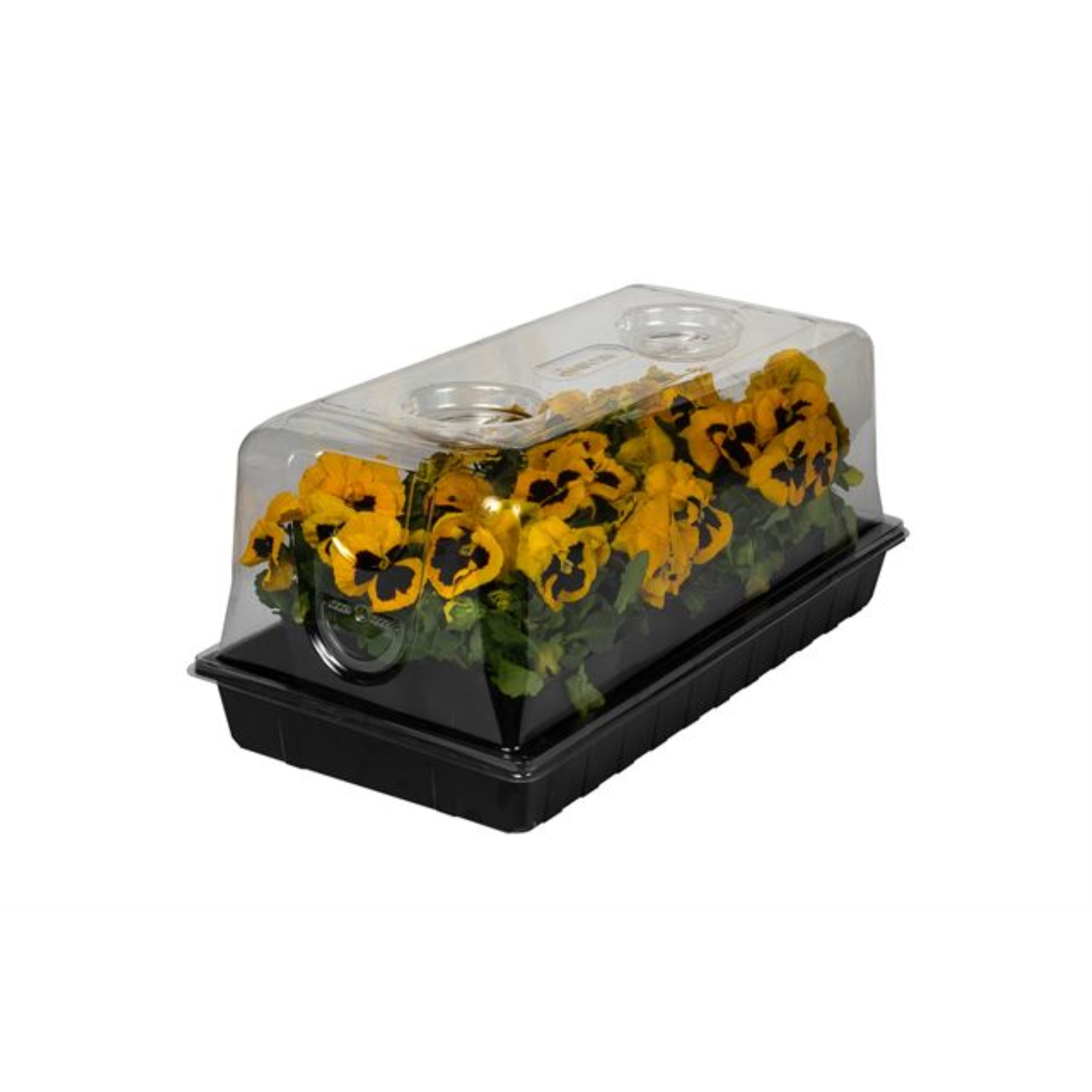 SUNKIT Seed Starting Mini-Greenhouse Kit for Growing Herbs & Flowers