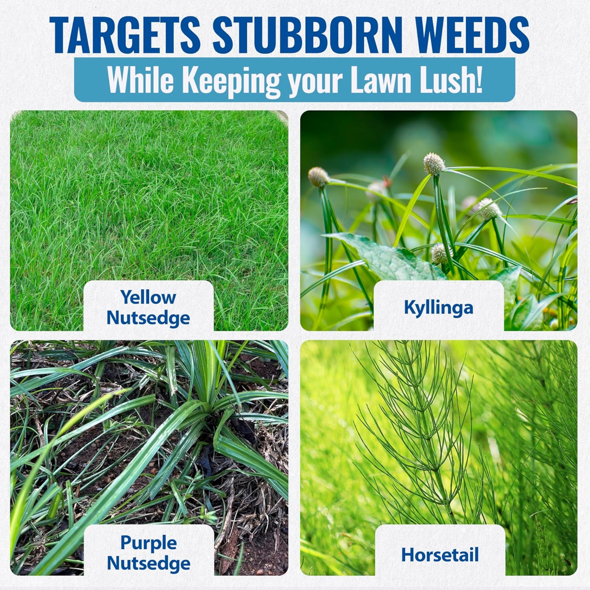Gowan SedgeHammer+ Turf Herbicide Concentrate with Surfactant, 0.5 oz Packet