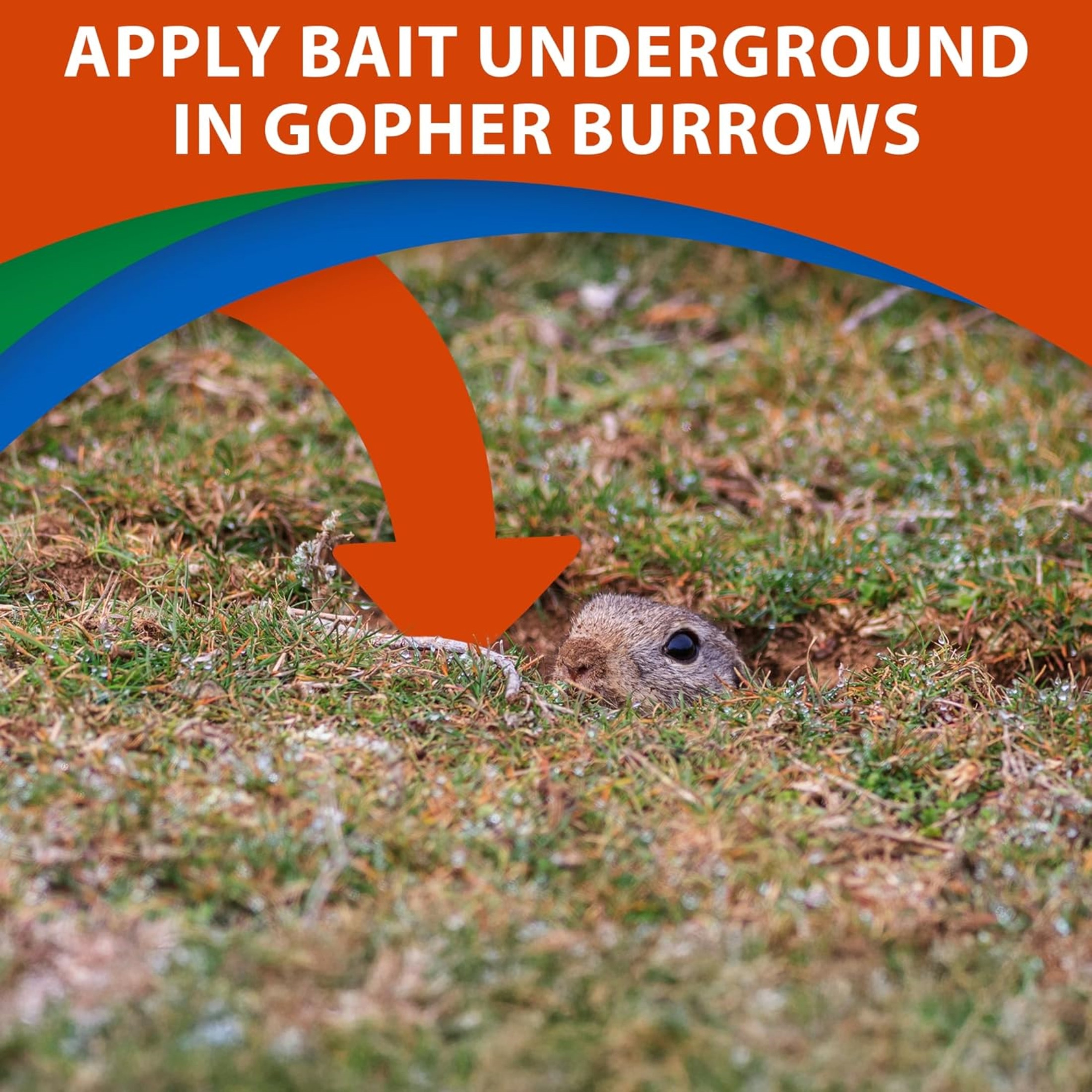 Monterey Go-DIE Gopher Animal Bait Pesticide, 1 Pound