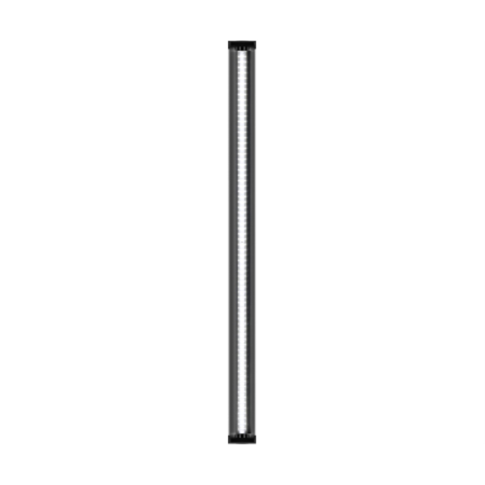 SUNPACK High Output 36W LED 6400K Strip Grow Light, White, 36"