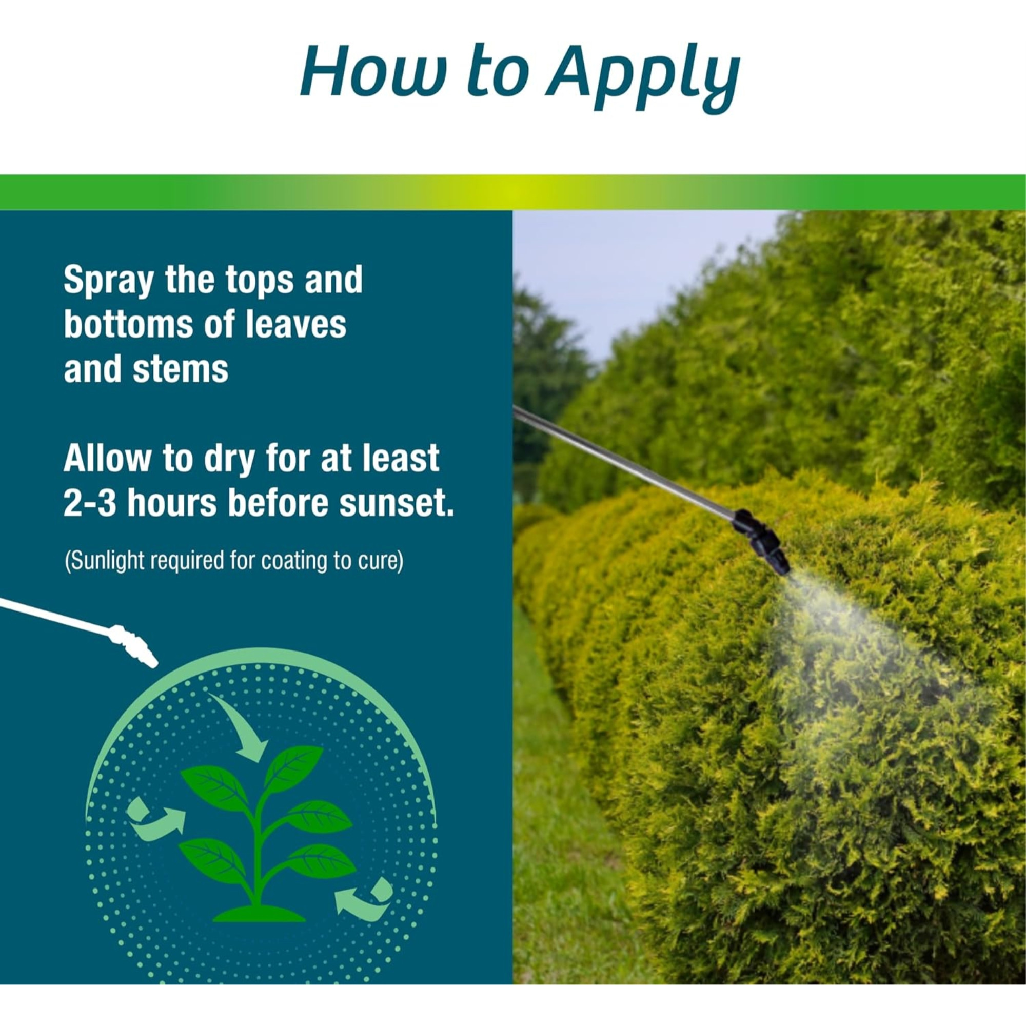 Wilt-Pruf Organic Moisture-Locking Anti-Transpirant Concentrate, 5 Gallons