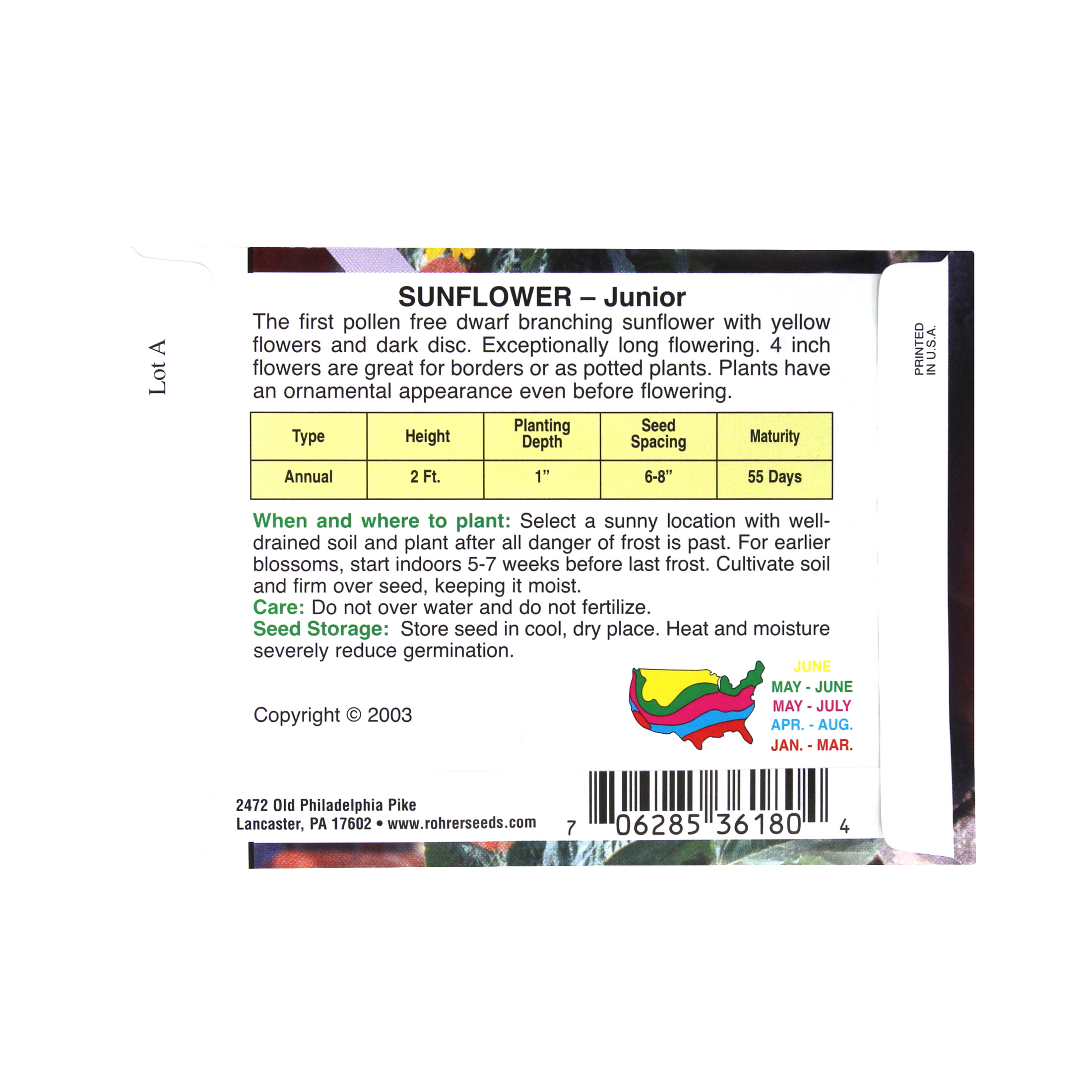 Rohrer Seeds Junior 2' Pollen Free Sunflower