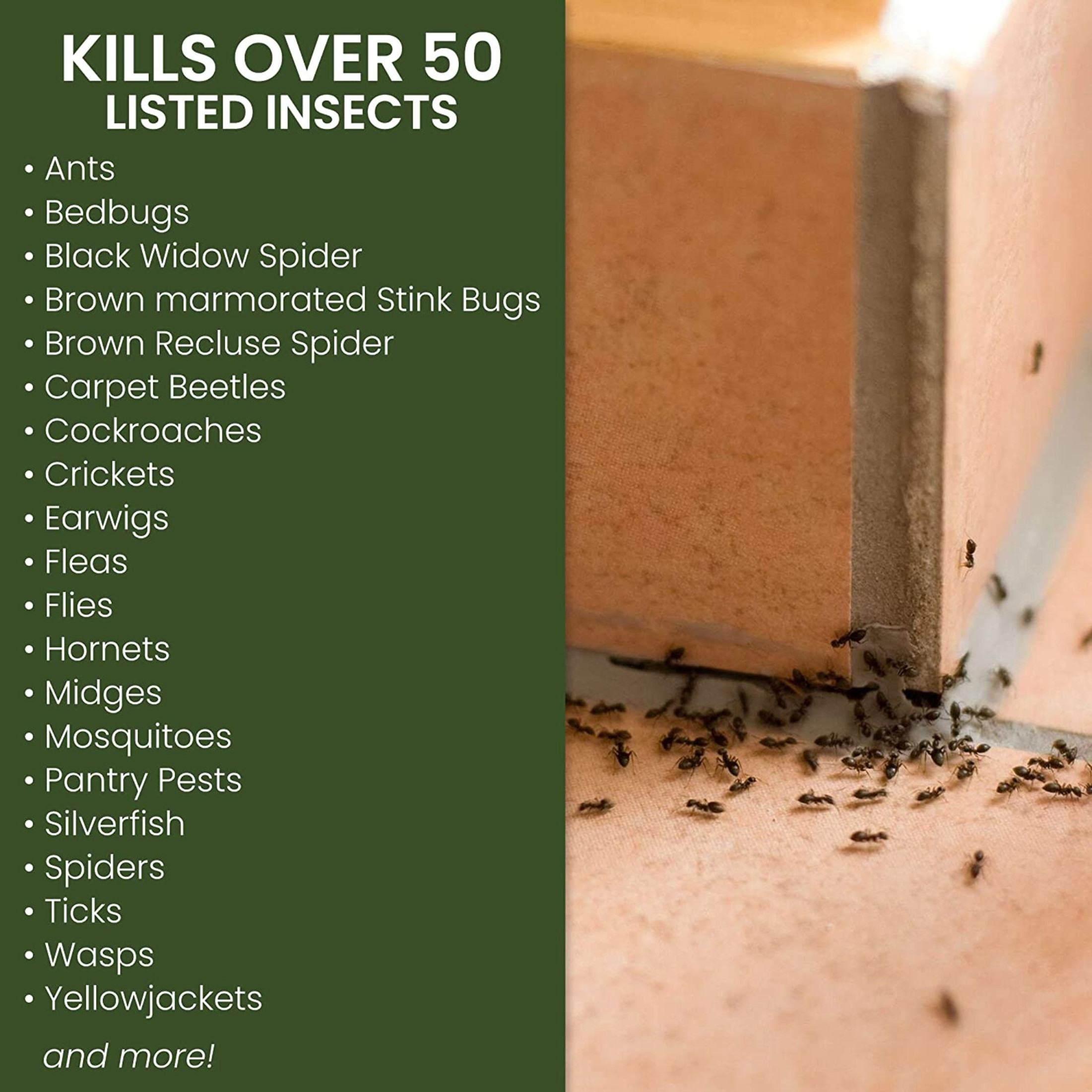 Natria Home Pest Control Bug Killer for Indoor /Outdoor, Ready-to-Use, 24 oz