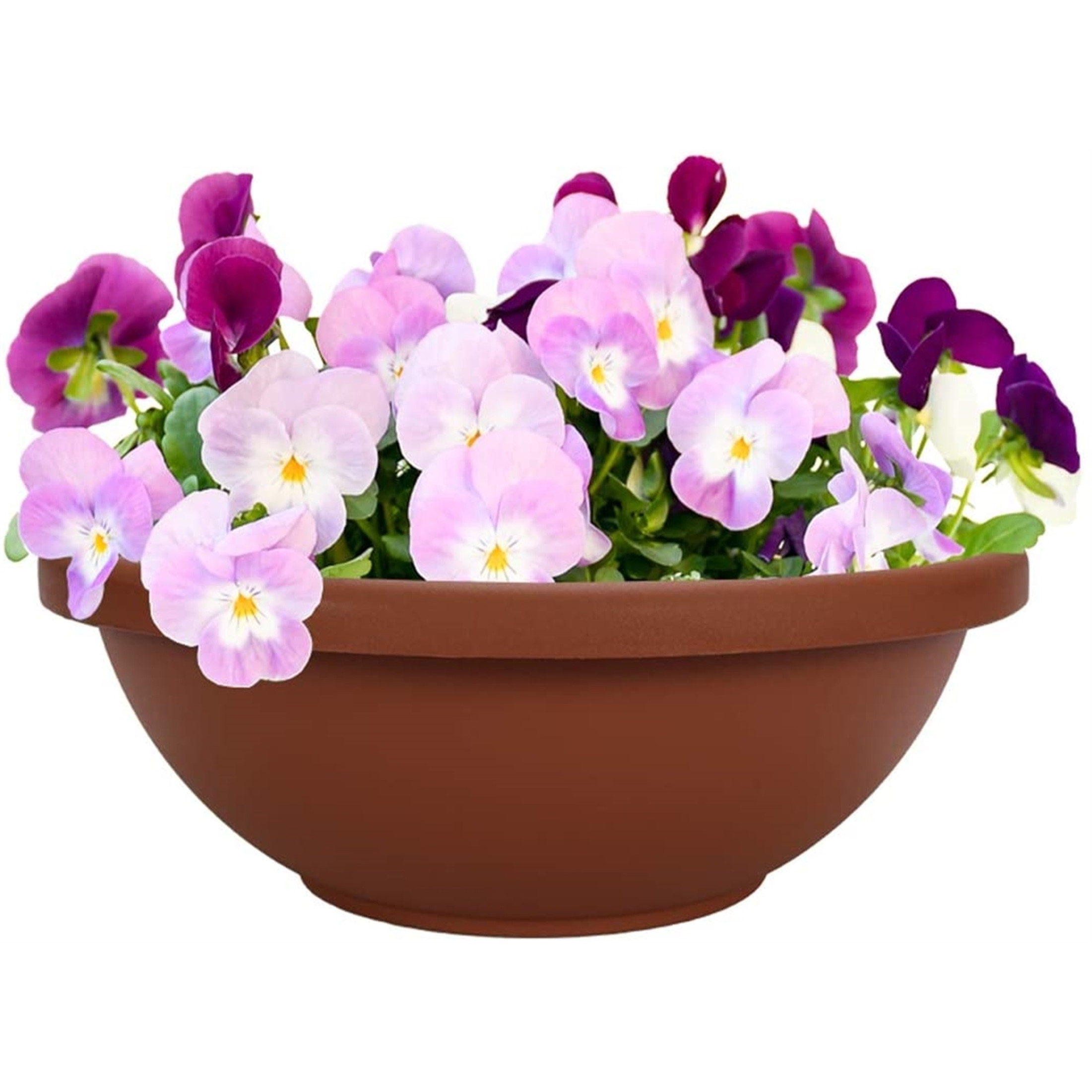 The HC Companies Garden Bowl with Removable Drain Plugs, Clay Color, 14in