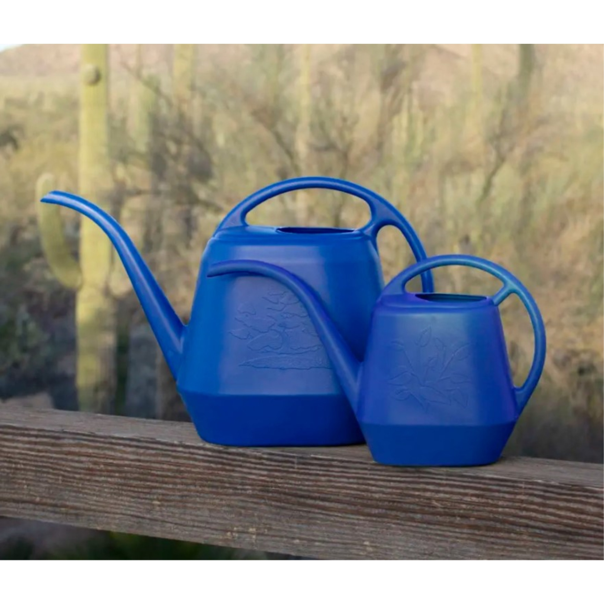 Bloem Aqua Rite Plastic Watering Cans