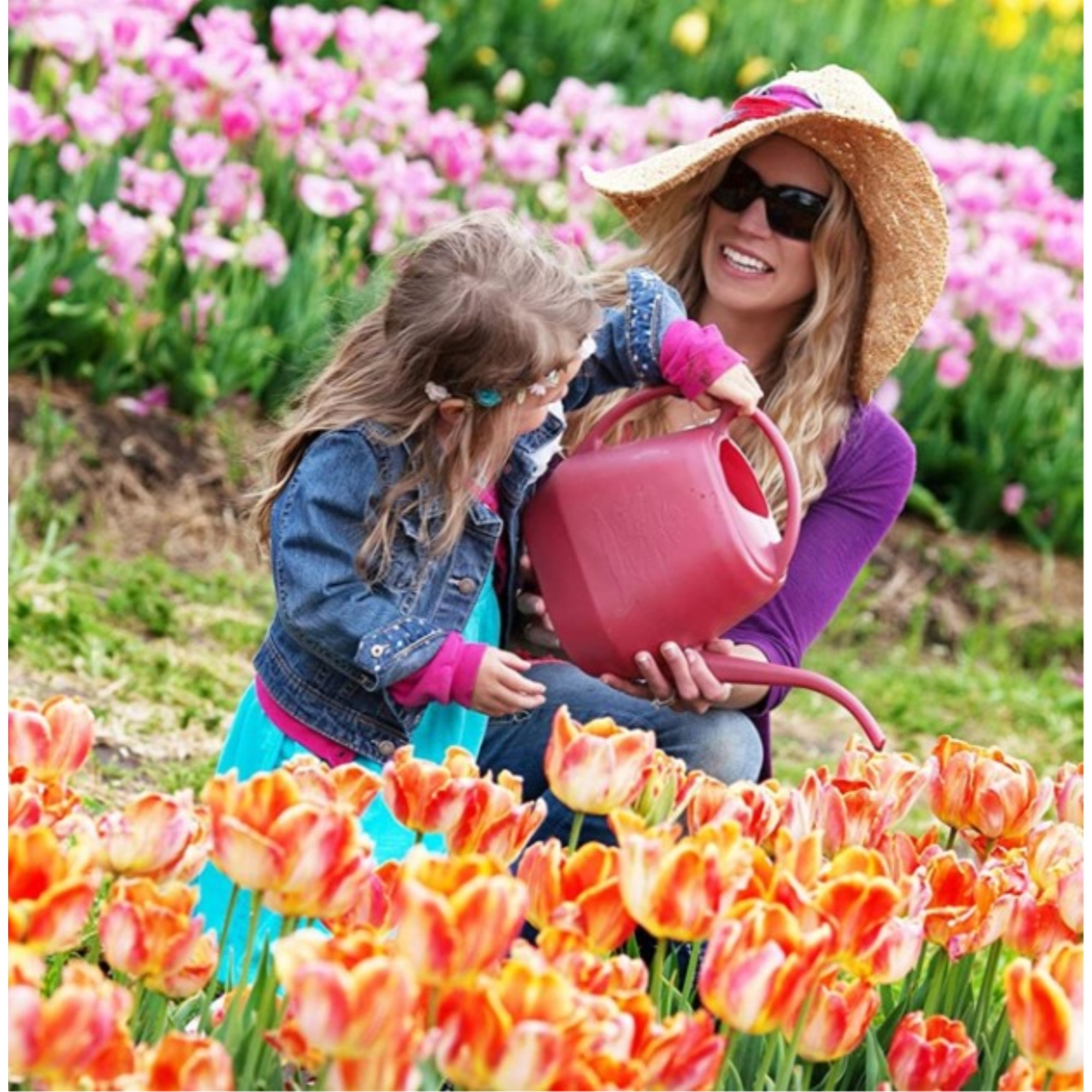 Bloem Aqua Rite Plastic Watering Cans