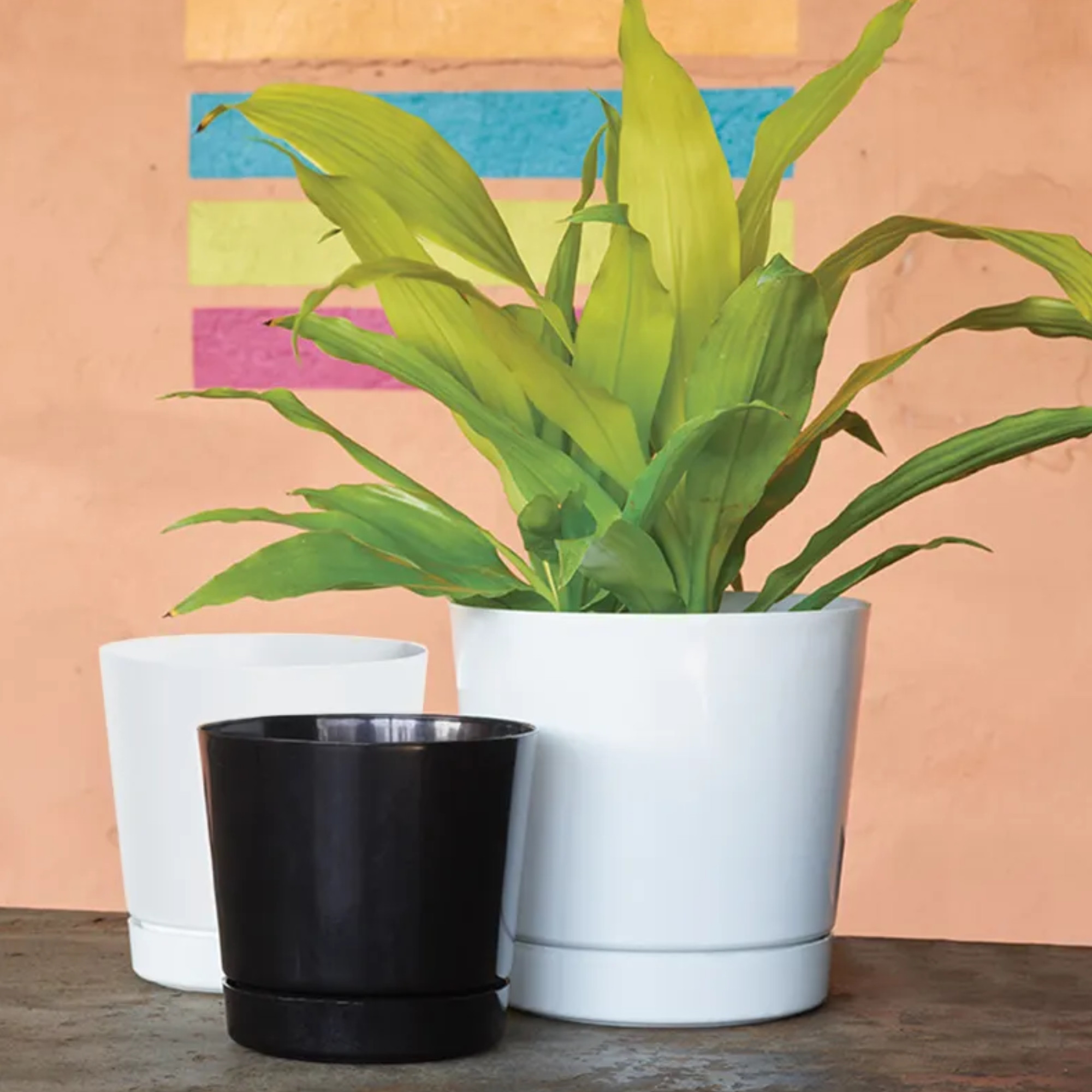 Novelty Manufacturing Majestic Full Depth Round Cylinder Pot