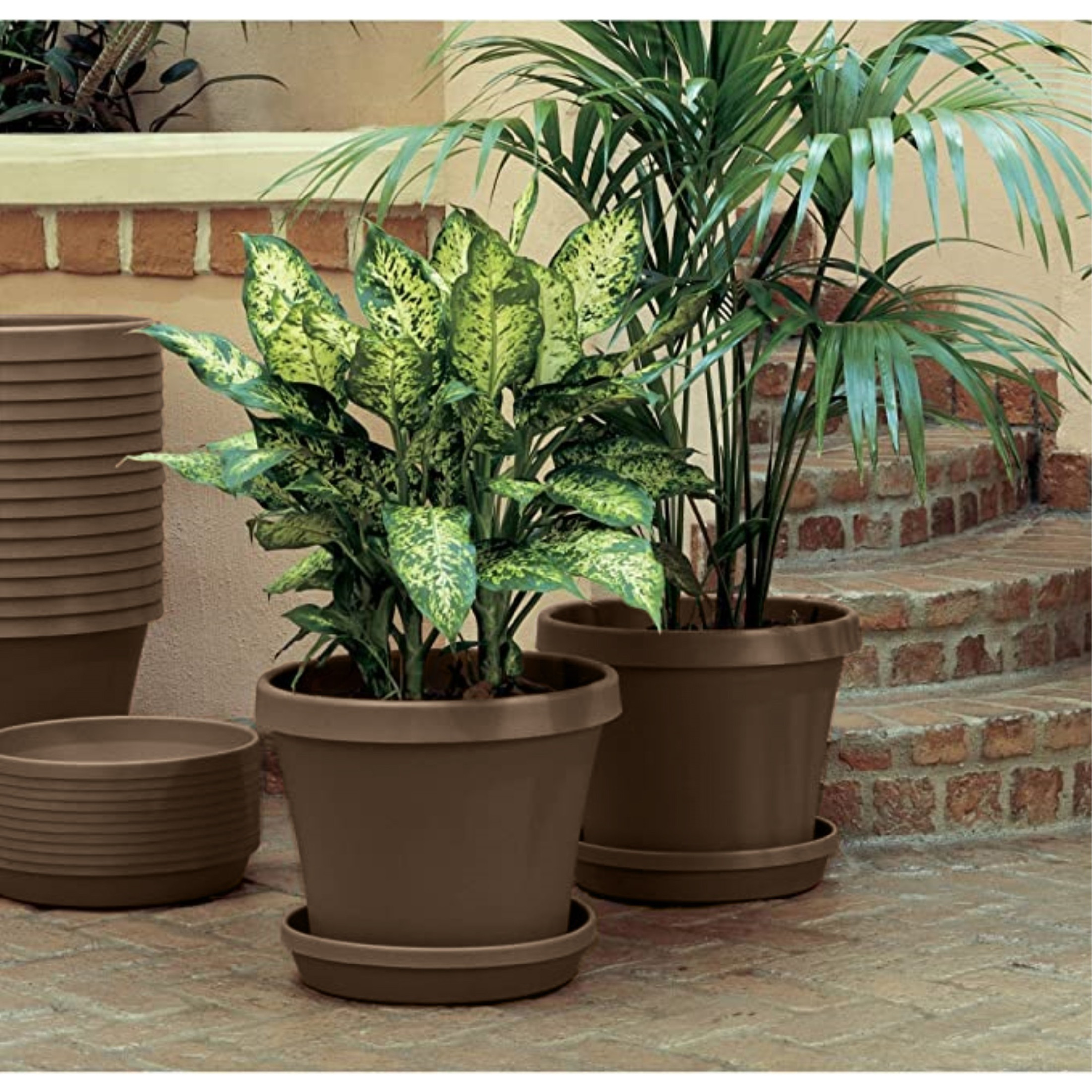 Bloem Terra Plastic Round Pot Planter, Chocolate