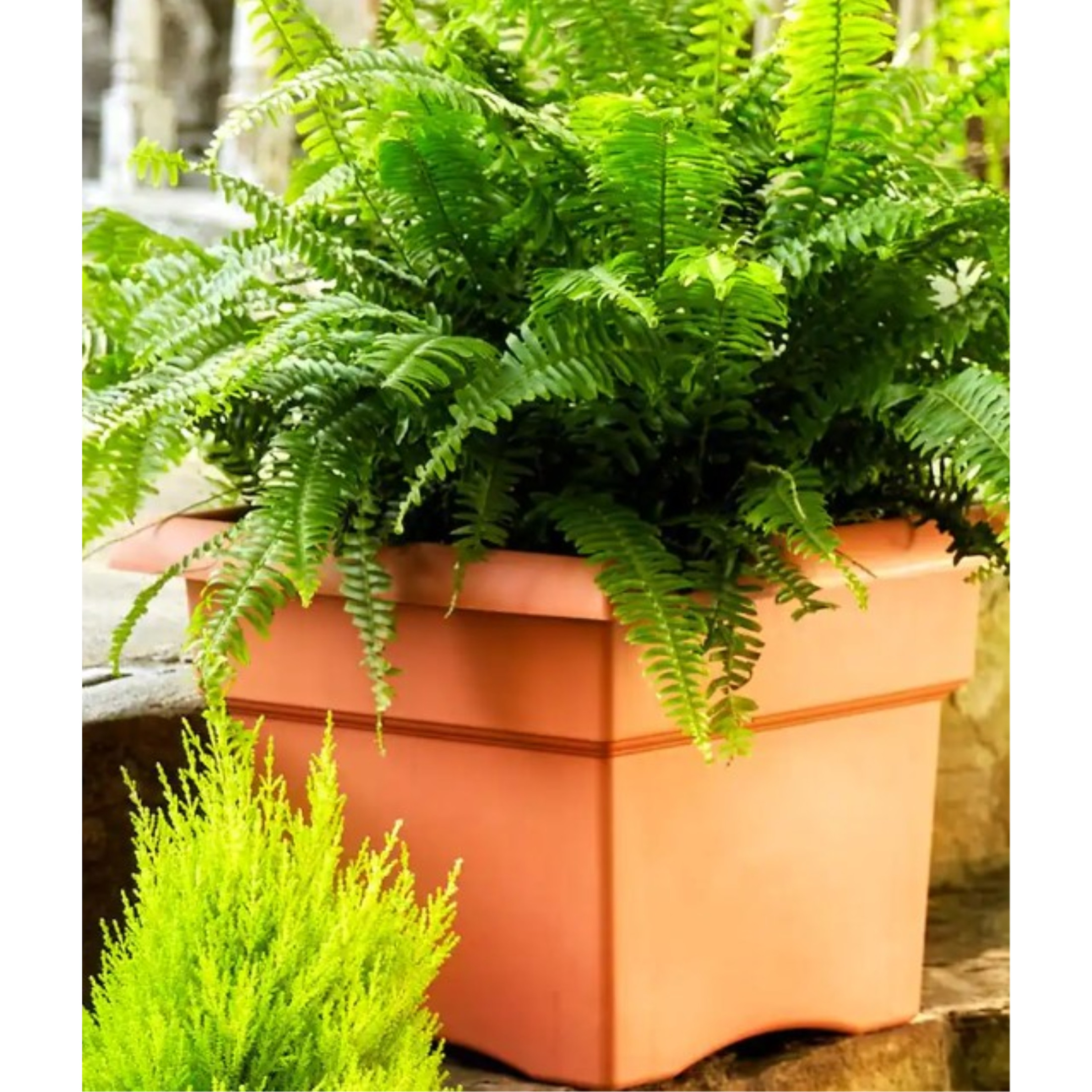 Bloem Veranda Plastic Deck Box Indoor/Outdoor Square Planter