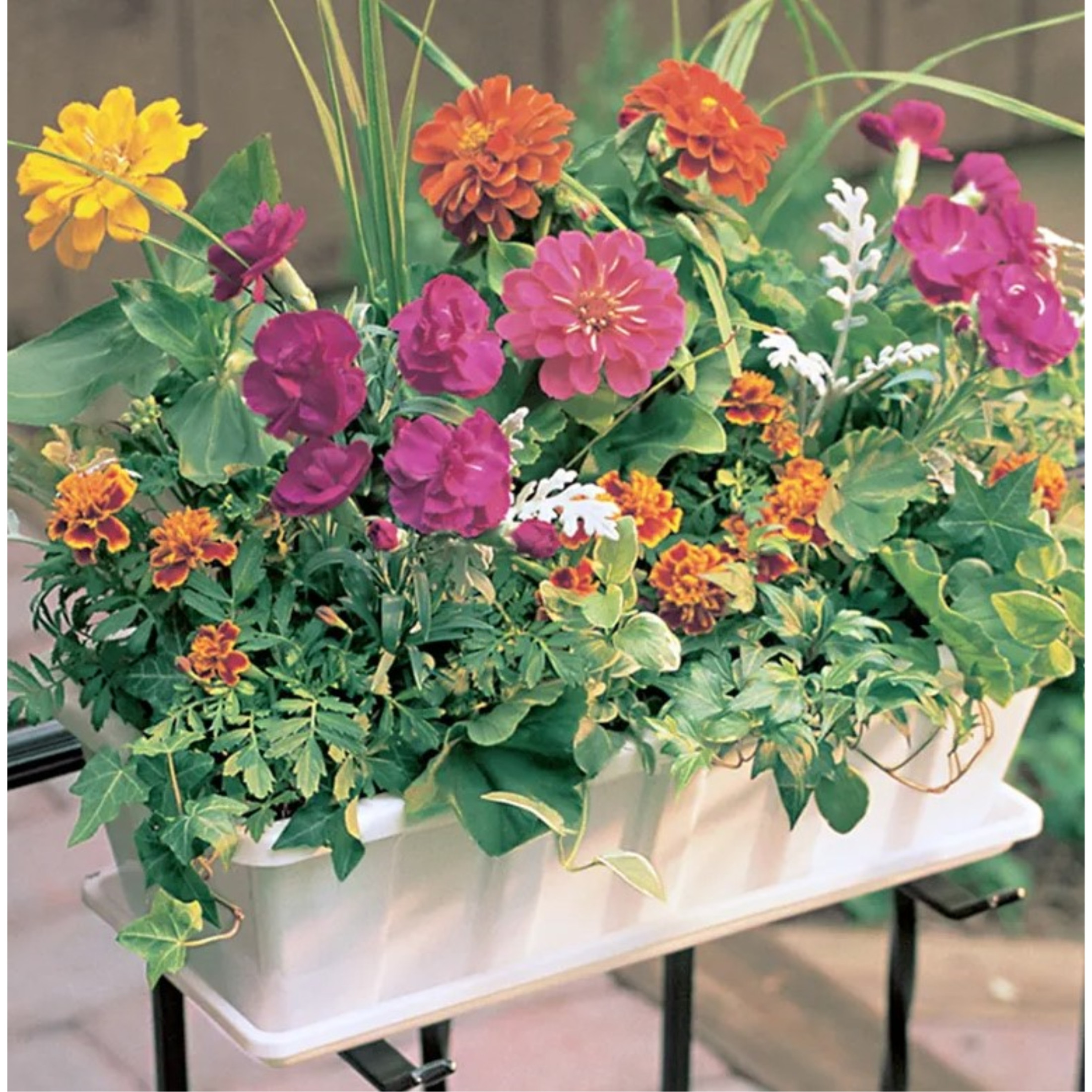 Novelty Poly-Pro Plastic Indoor/Outdoor Liner/Planter Flower Box