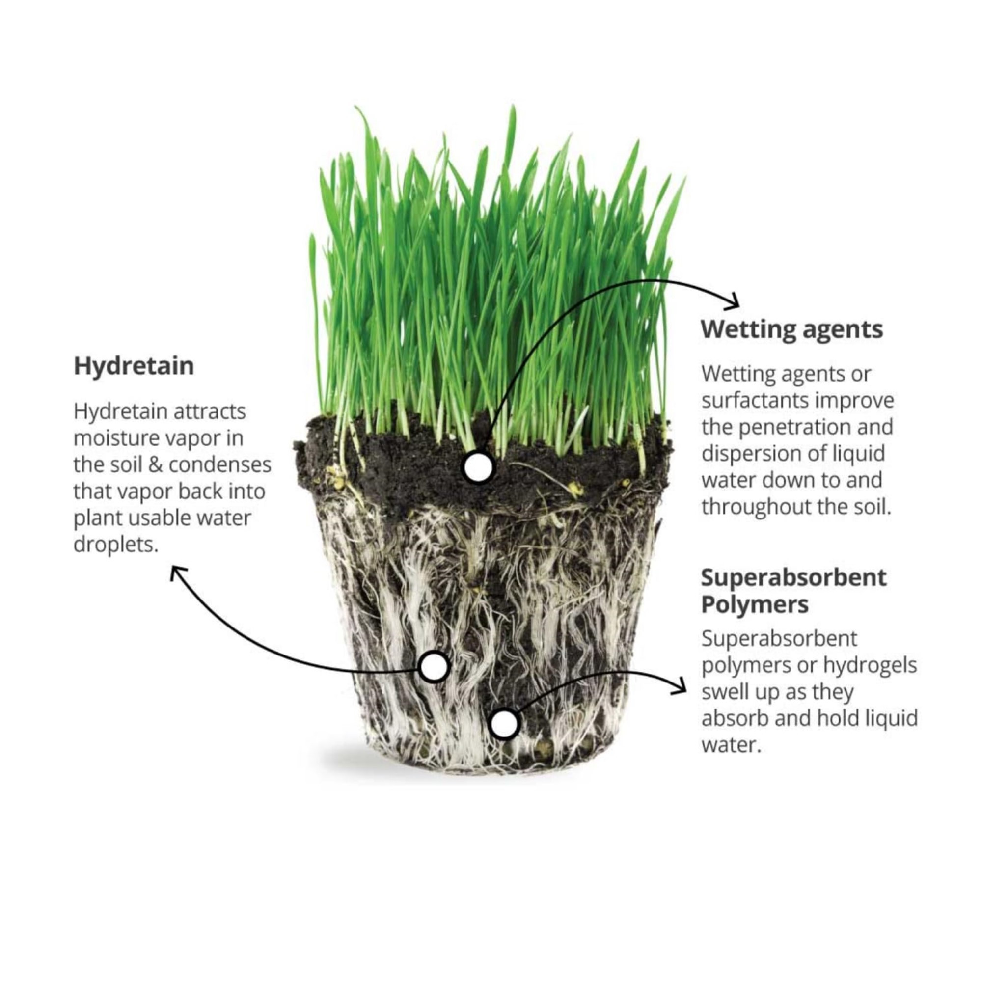 Hydretain Root Zone Moisture Manager, Liquid Gallon