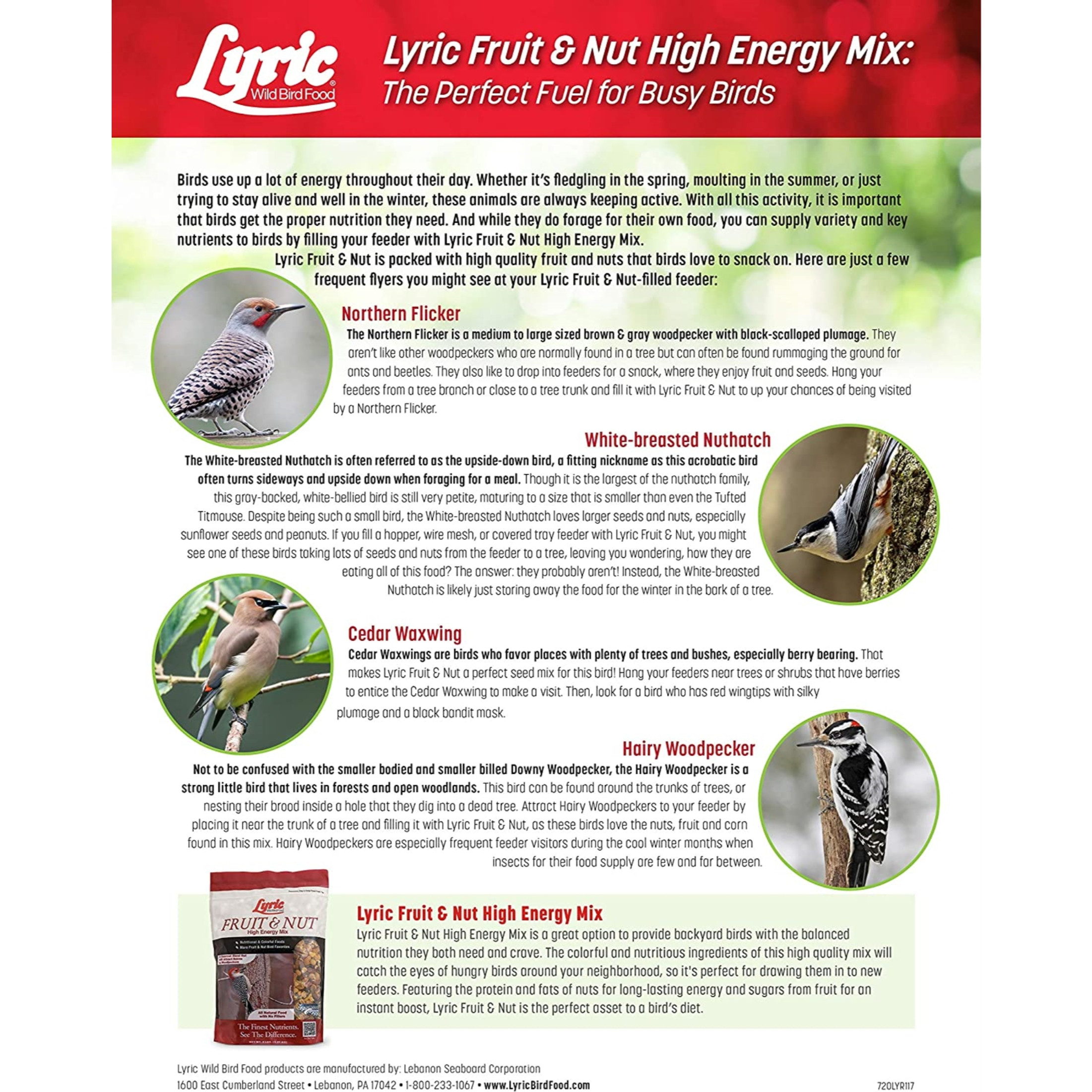 Lyric Fruit & Nut High Energy Wild Bird Mix