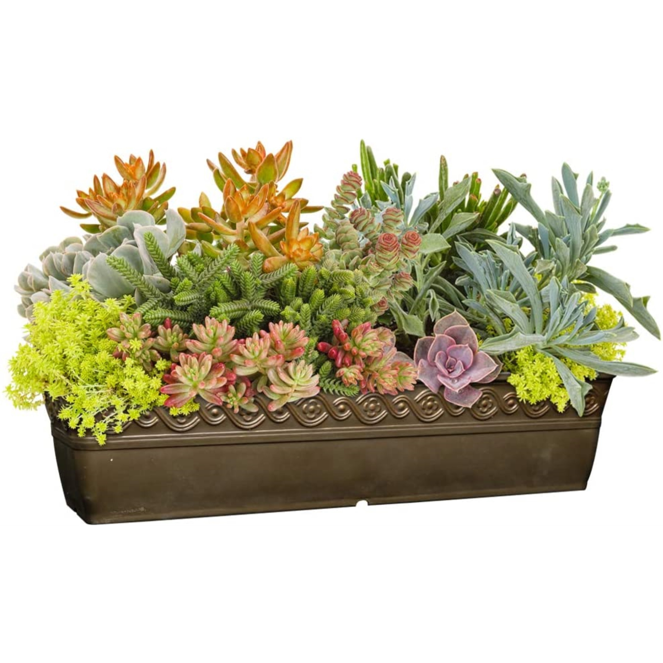 Classic Home and Garden Indoor/Outdoor Resin Corinthian Window Box Planter with Drainage Plug – Durable & UV-Resistant, 18"