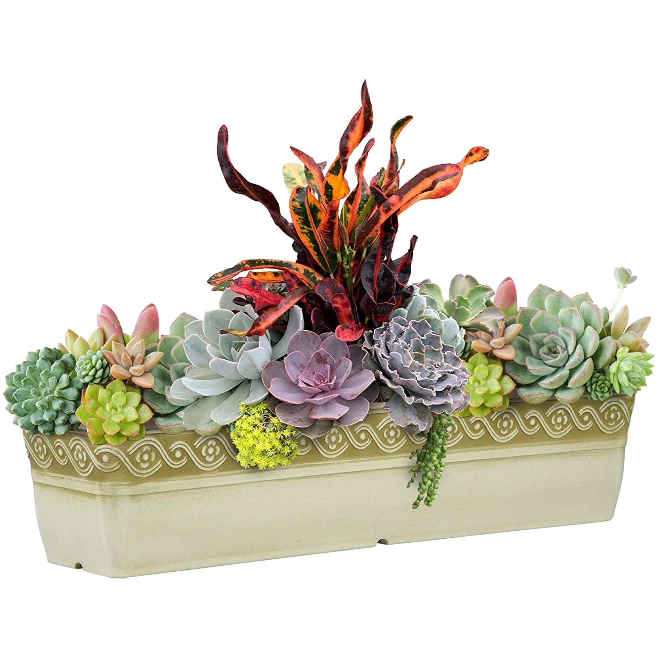 Classic Home and Garden Indoor/Outdoor Resin Corinthian Window Box Planter with Drainage Plug – Durable & UV-Resistant, 18"