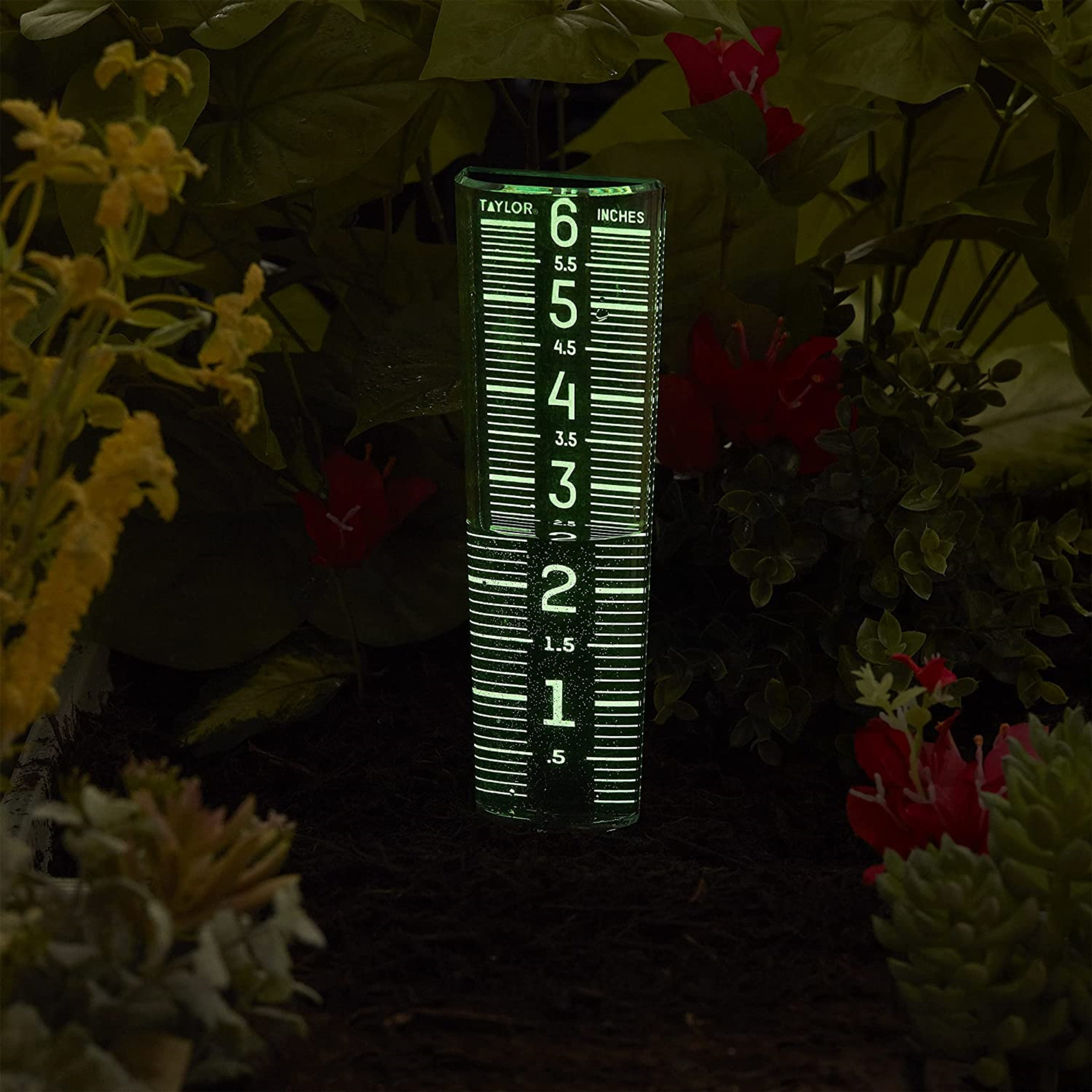Taylor Precision Products Glow in The Dark Rain Gauge, 6" Inch Capacity