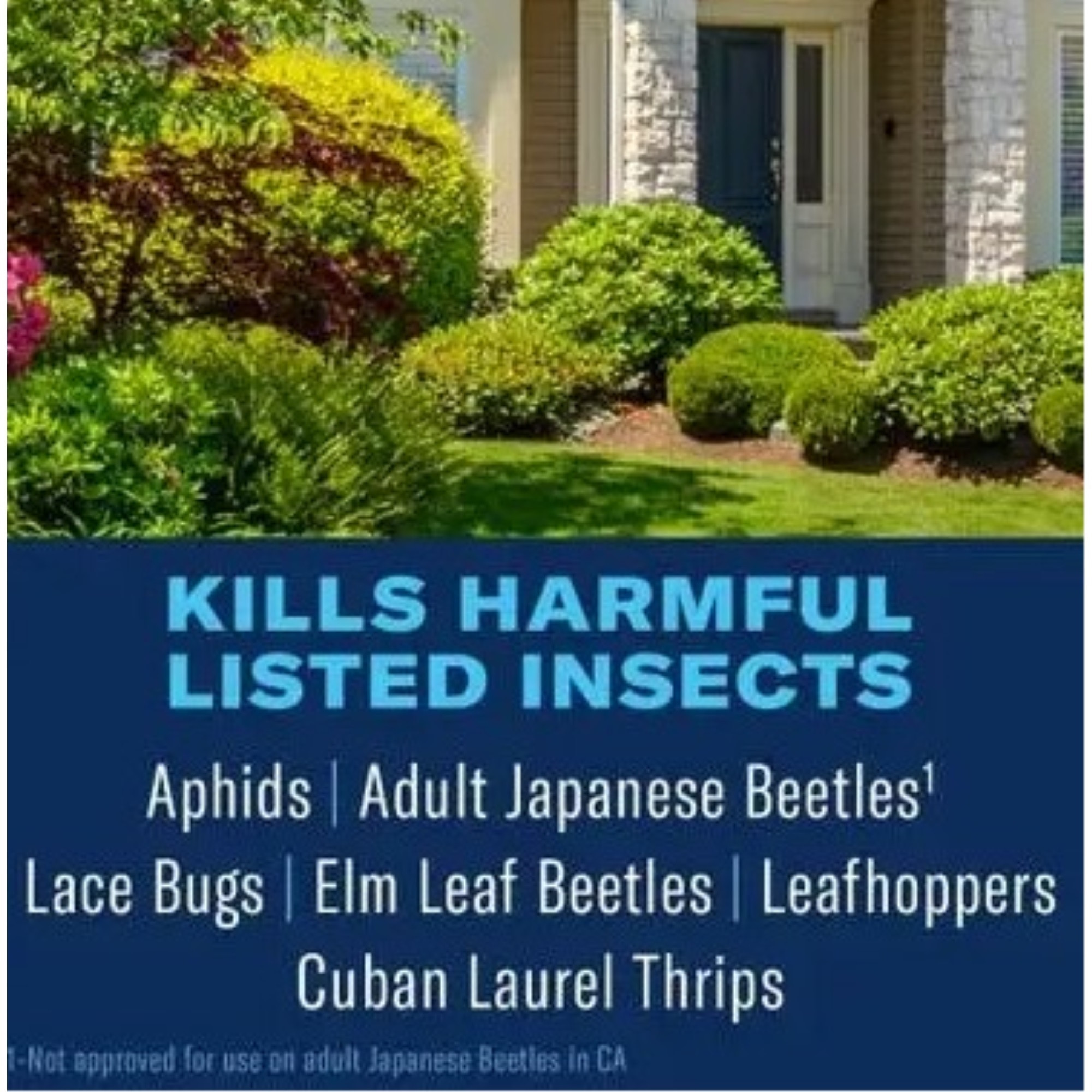 BioAdvance Shrub Care, Protect & Feed the Entire Shrub, Ready to Use Granules, 4lb