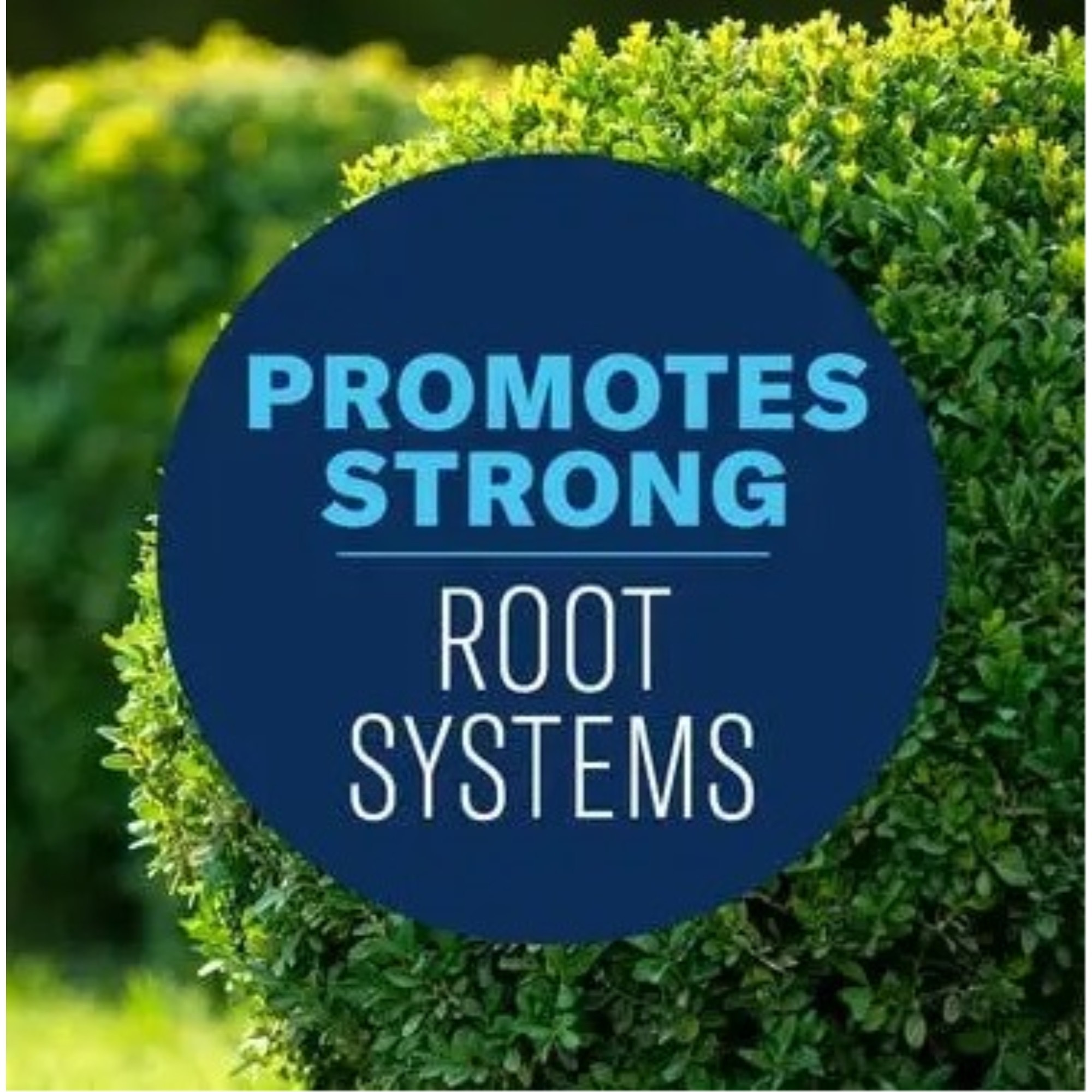 BioAdvance Shrub Care, Protect & Feed the Entire Shrub, Ready to Use Granules, 4lb