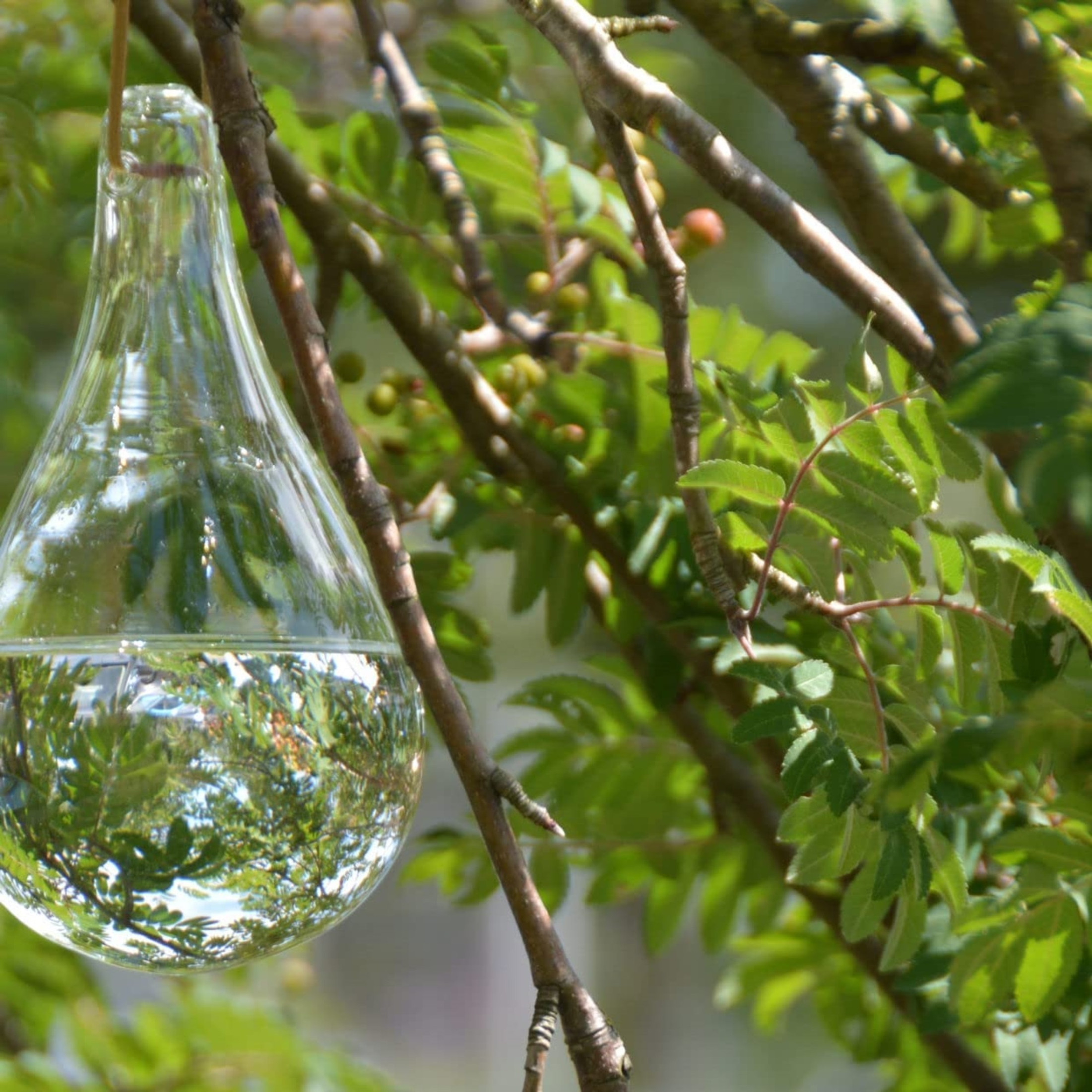 Esschert Design Glass Fly Deterrent Bulb, 8"
