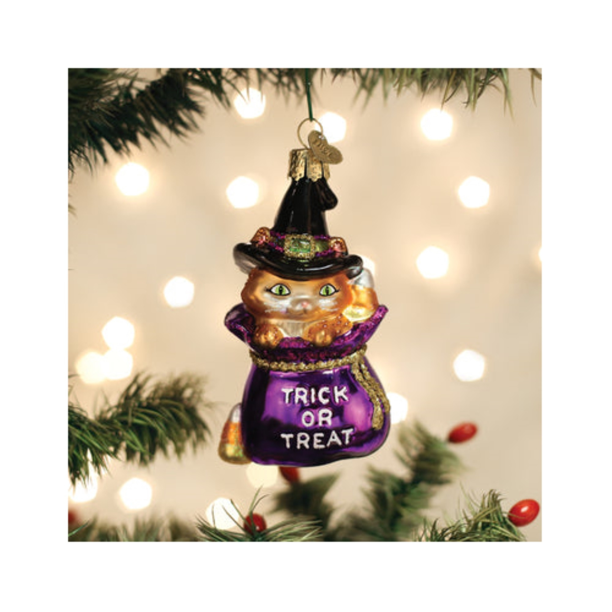 Old World Christmas Glass Blown Ornament for Tree, Trick Or Treat Kitty