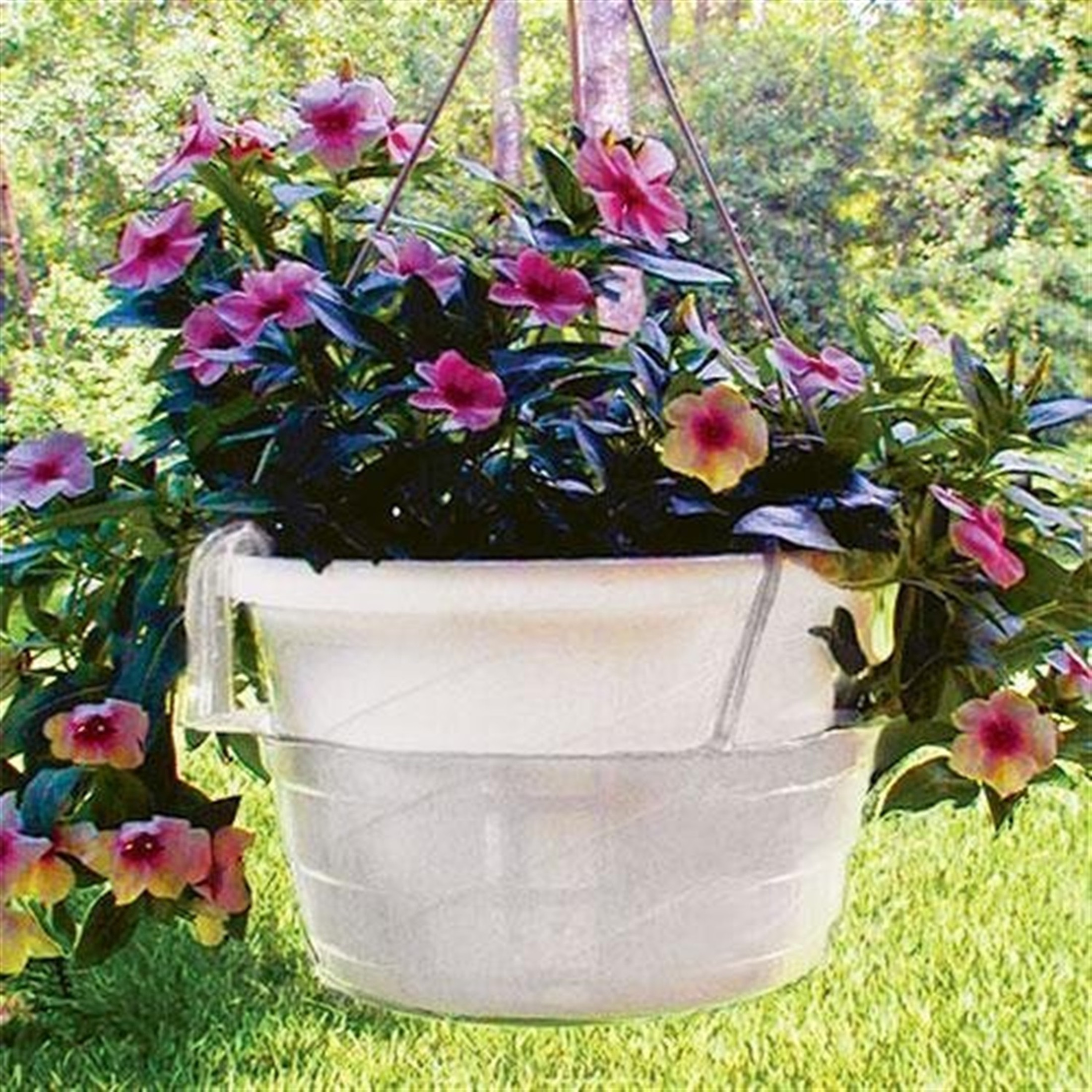 Curtis Wagner Plastics Hanging Basket Drip Pan, 8-Inch, Clear (1 Count)