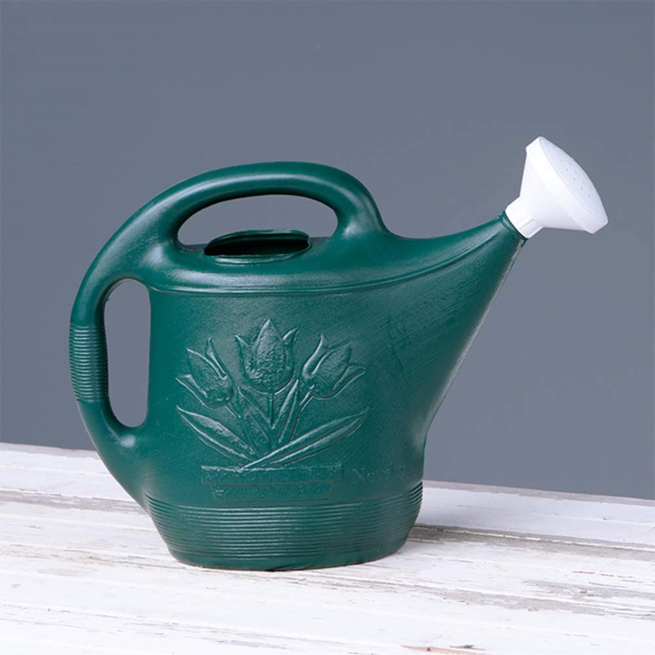 Novelty Classic Plastic Watering Can, Green, 2 Gallon