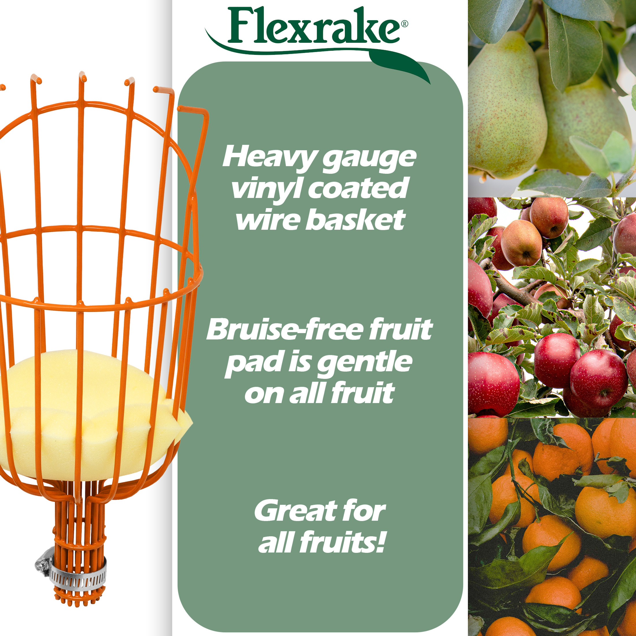 Flexrake Metal Hanging Fruit Harvesting Basket For Apples, Oranges, Pears