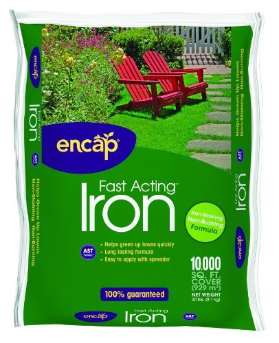 Encap 10611-2 Fast Acting Iron Formula, Covers 10000 Square Feet, 20-Pound