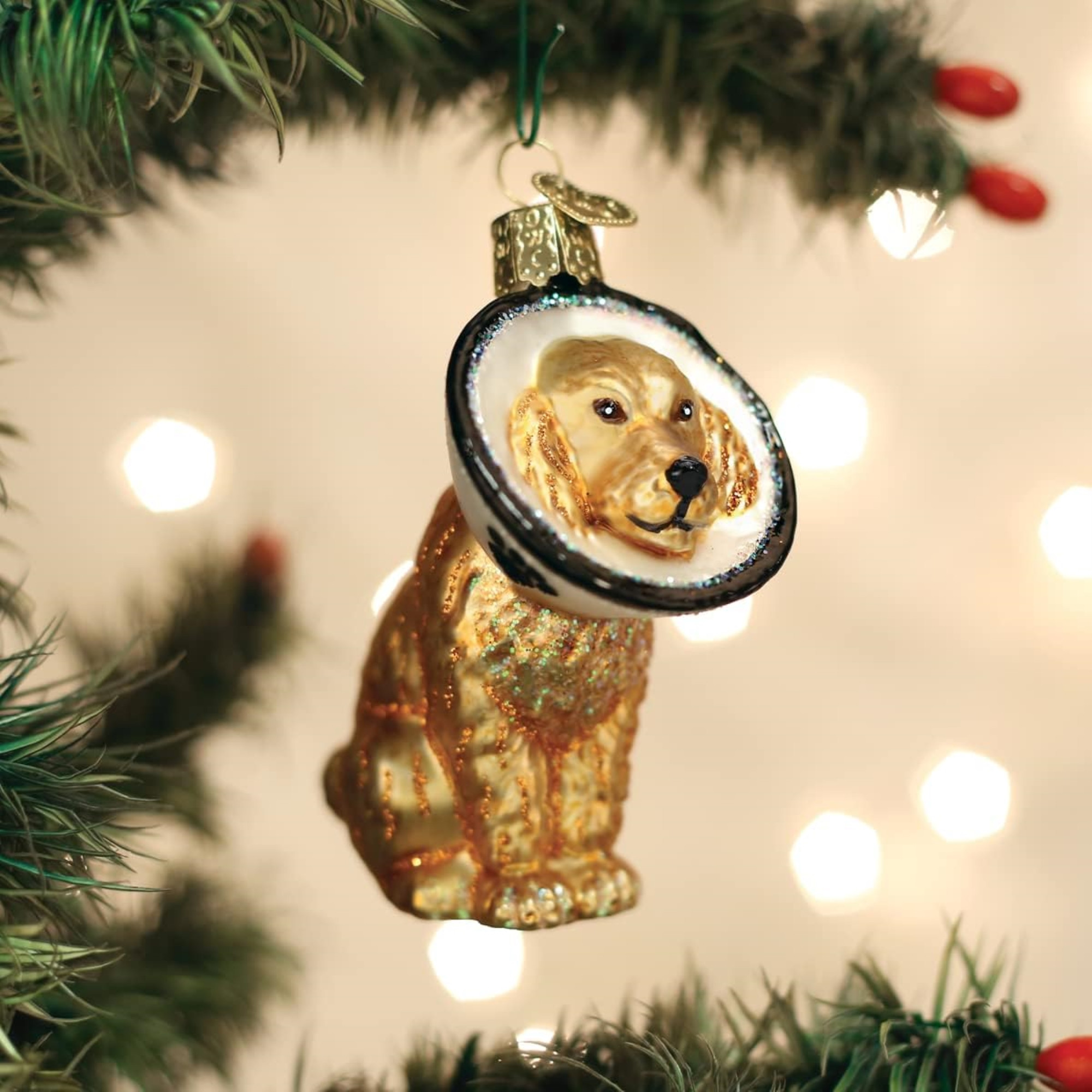 Old World Christmas Glass Blown Ornament for Christmas Tree, Cone of Shame Dog