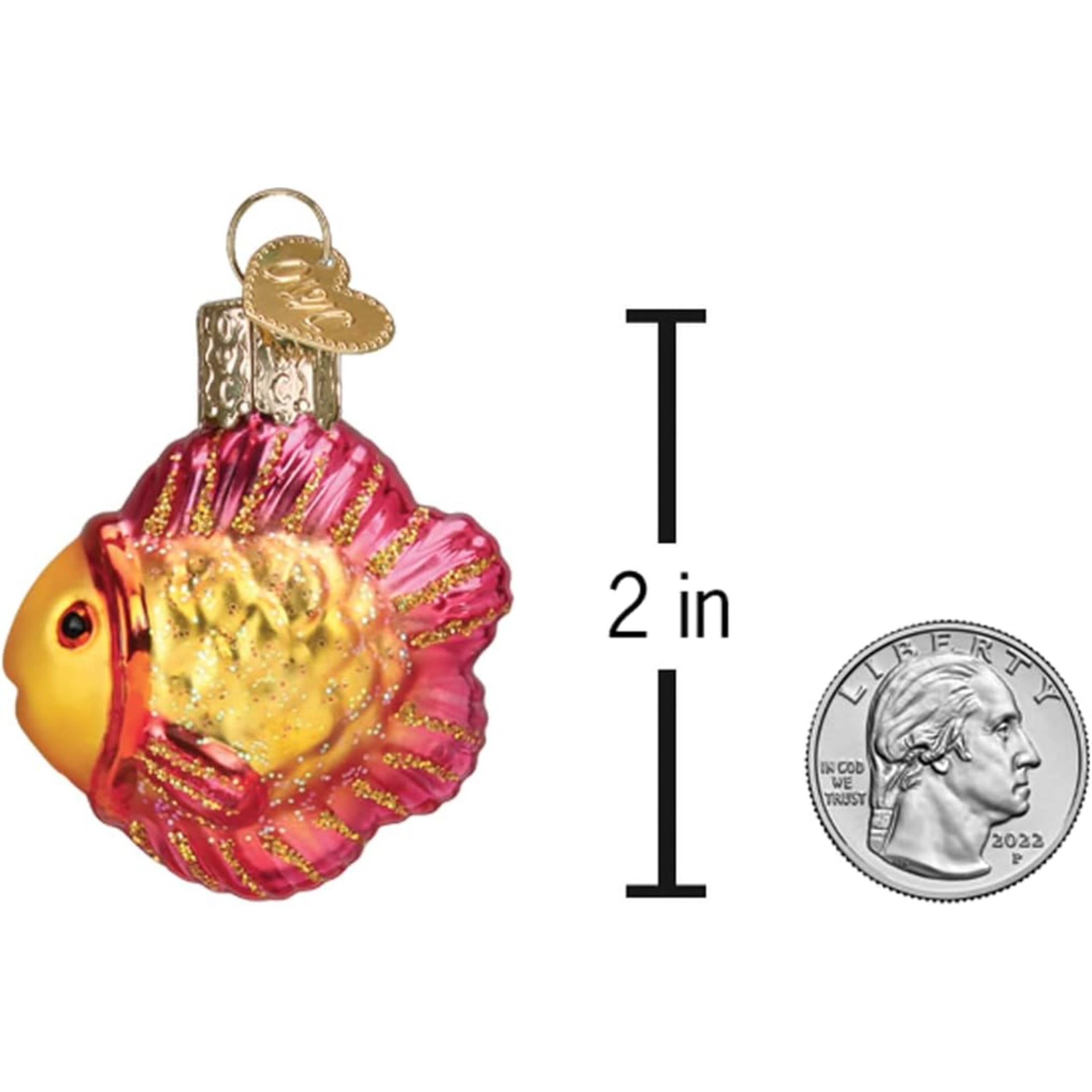 Old World Christmas Mini Glass Blown Ornament for Christmas Tree, Tropical Fish (With OWC Gift Box)