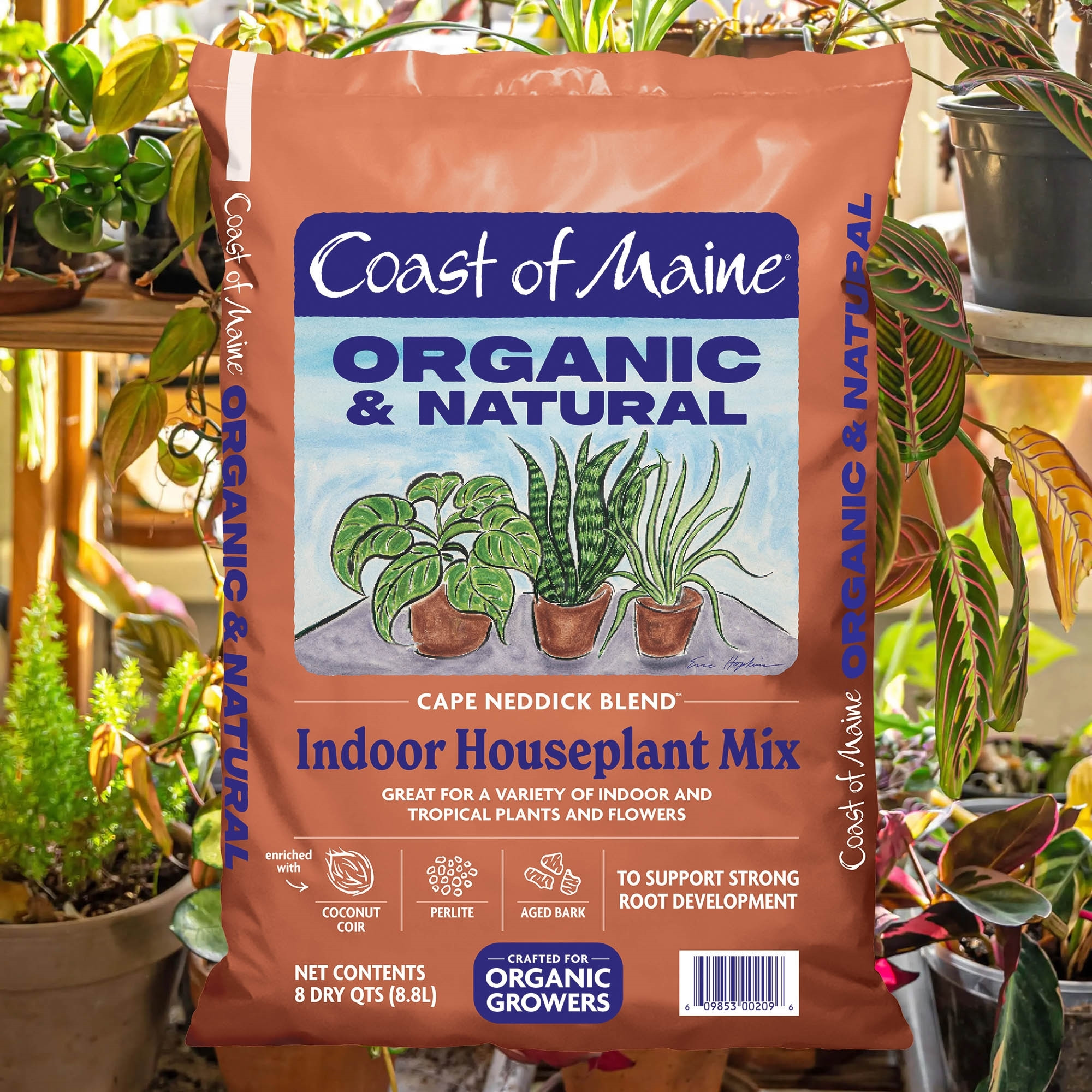 Coast of Maine Cape Neddick Blend, Organic and Natural Indoor Houseplant Potting Mix