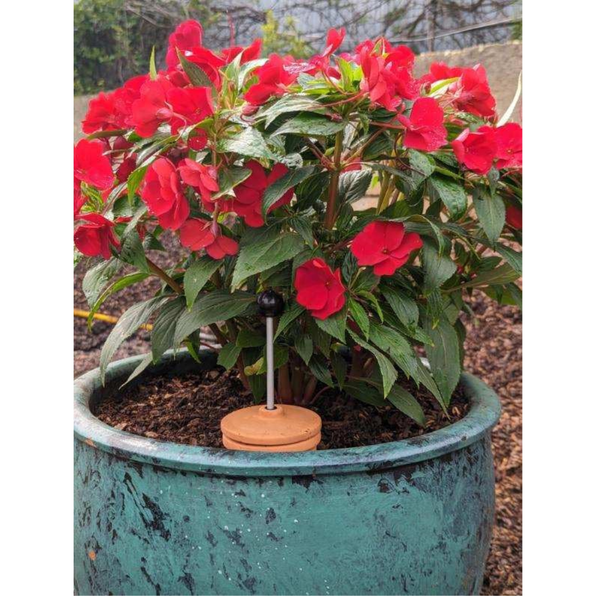 Plant Nanny Olla, Watering for Gardens, Potted Plants, and Greenhouses, Terracotta, 3 Liters