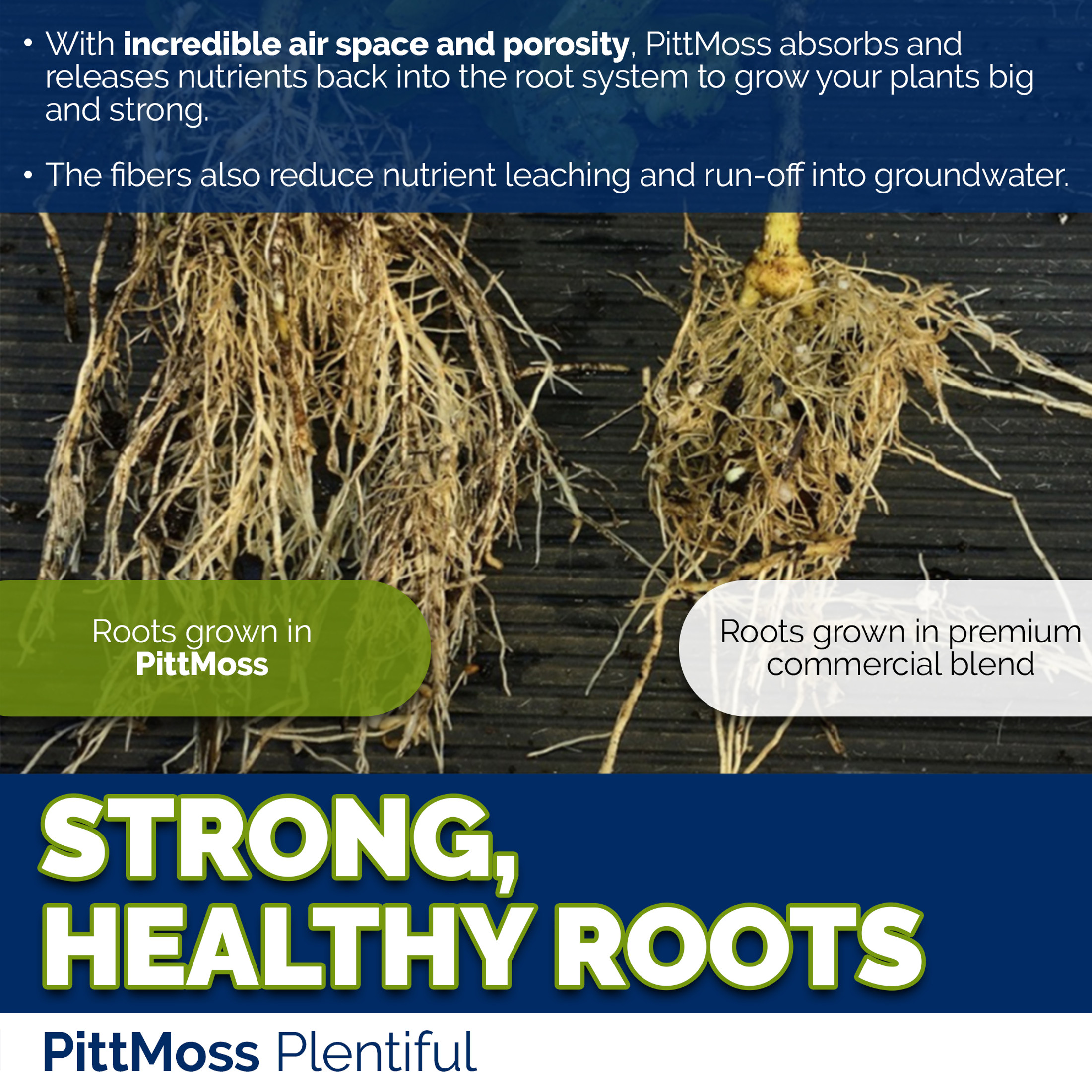 PittMoss Plentiful Eco-Friendly, Organic, Peat-Free Potting Mix
