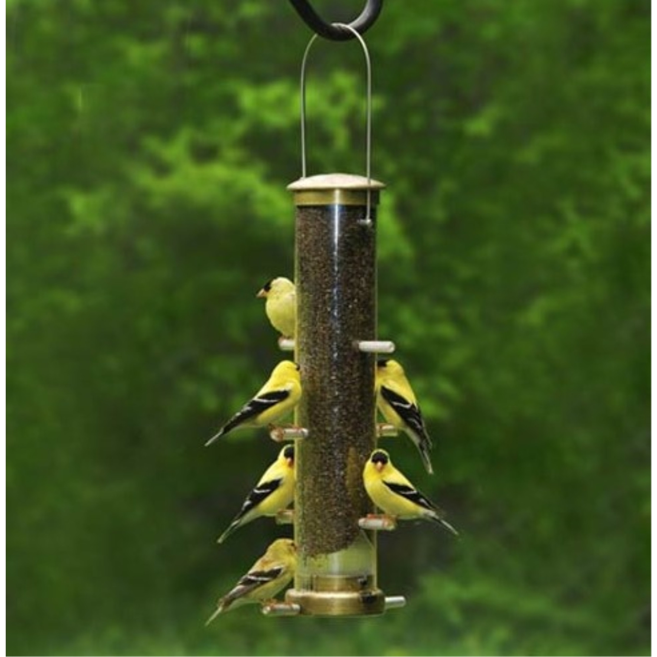 Cole's Nifty Niger Wild Bird Feeder, Clear Polycarbonate, 8 Ports