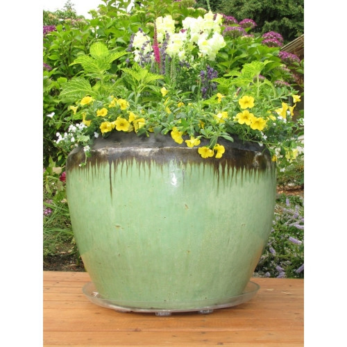 Bosmere Down Under Planter Saucers — Airflow, Prevent Stains, Locking Caddy Option, Clear, 21”